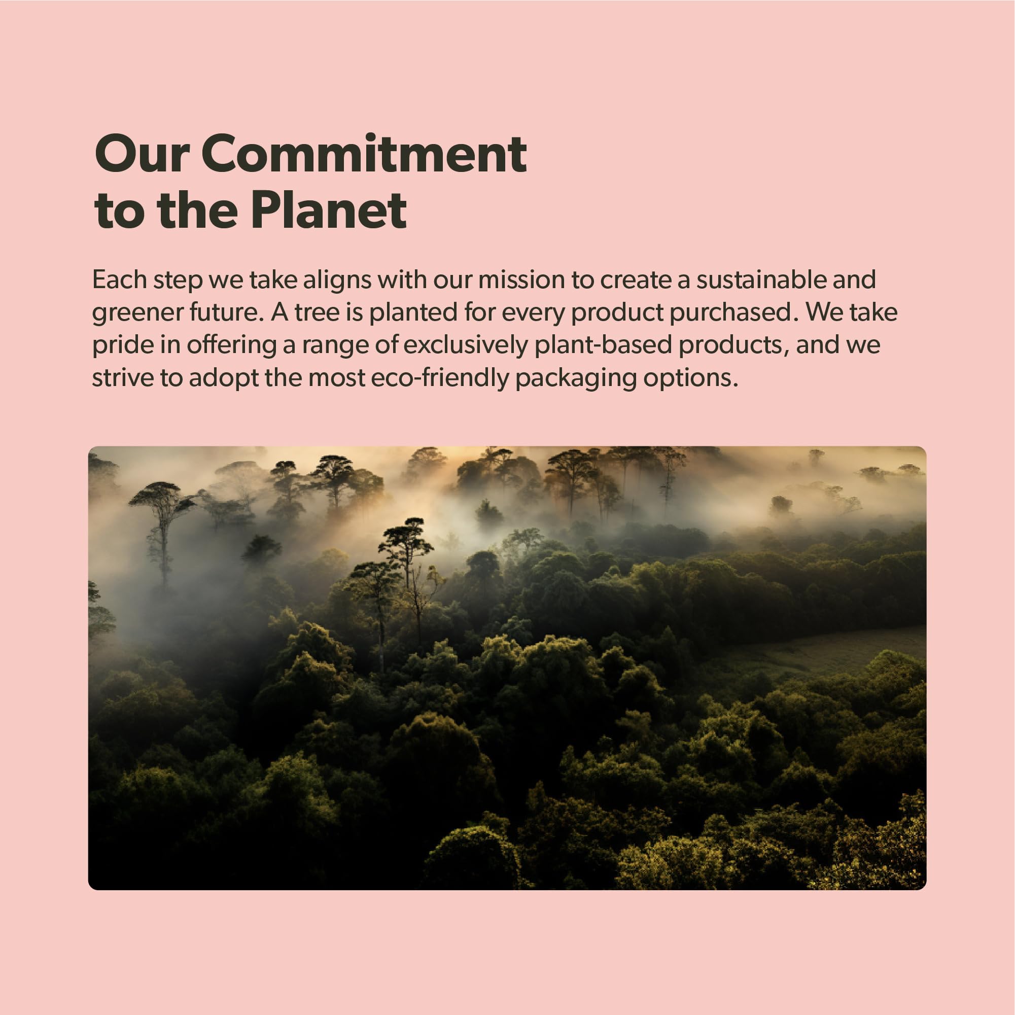 sapling Calcium Supplement - Whole Food with Vitamin K2 & D3, Magnesium, Zinc, Boron, Mineral Complex. Sourced Sustainably from Red Algae. for Bone Strength and Support. Non-GMO & Vegan 90 Capsules.