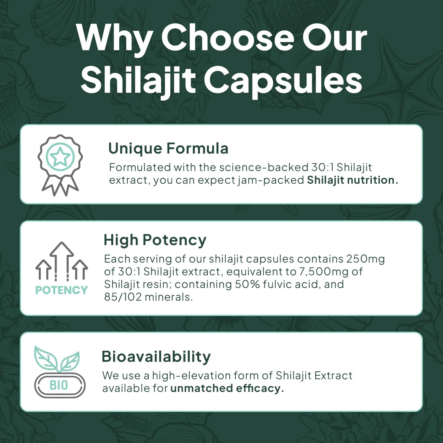 Organics Ocean One-Per-Day Shilajit for Men and Women - Natural Shilajit Supplement for Age-Defying, Bone Strength, Hormone Support and More - 30 Shilajit Capsules