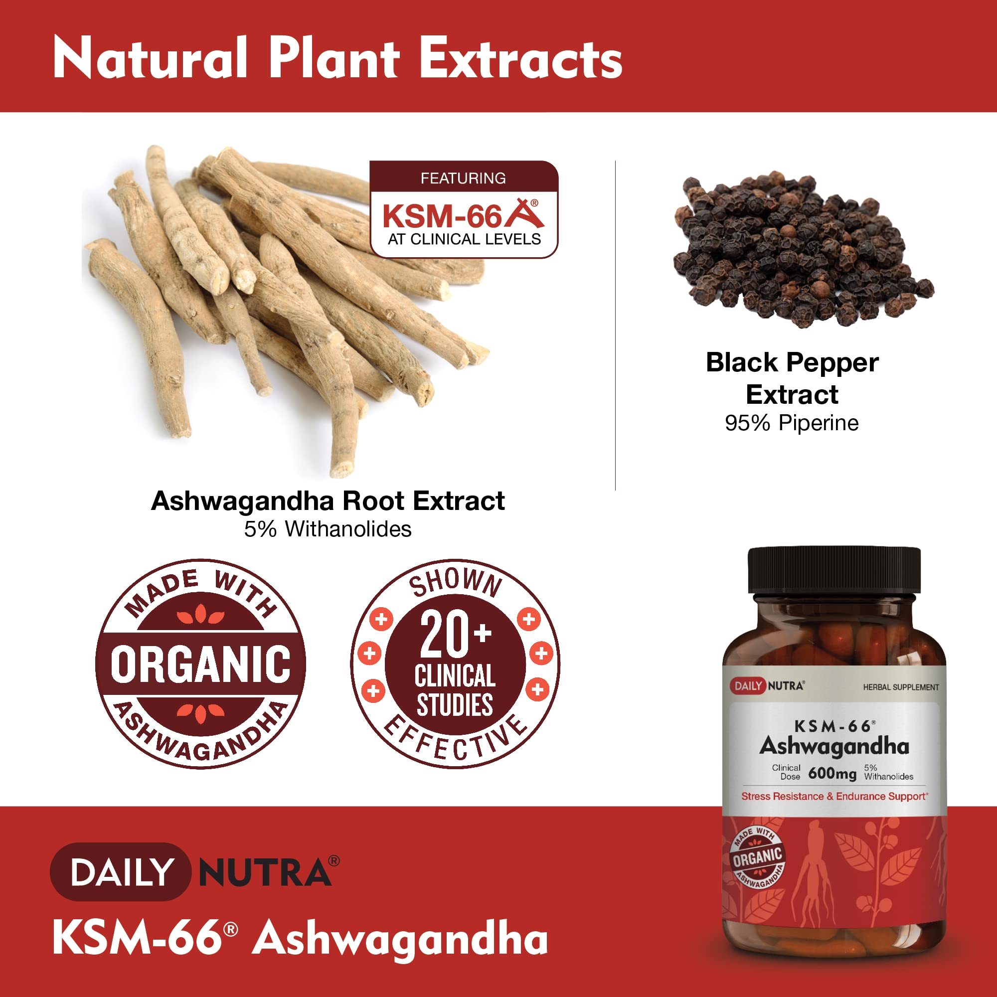 DailyNutra KSM-66 Ashwagandha 600mg Organic Root Extract - High Potency Supplement with 5% Withanolides | Relieves Tiredness, Supports Relaxation, Focus, Energy, & Muscle Growth (90 Capsules)