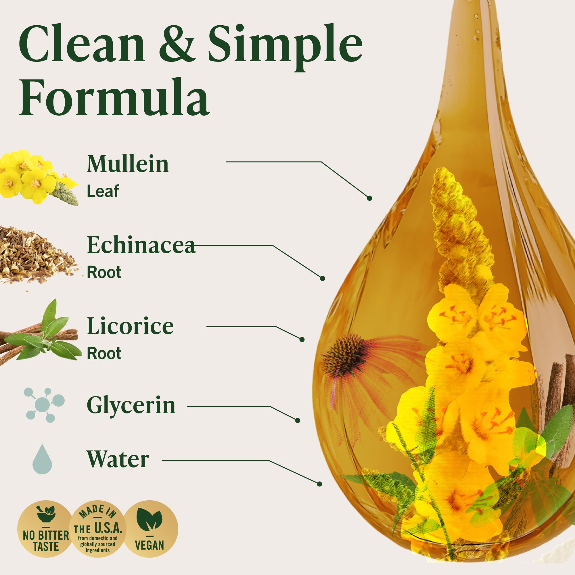 HERBAMAMA Mullein Drops for Lungs - Vegan Lung Cleanse with Mullein Leaf Extract, Echinacea Tincture & Licorice - Non-GMO, Alcohol & Sugar-Free Respiratory Support Supplement - 56-Day Supply