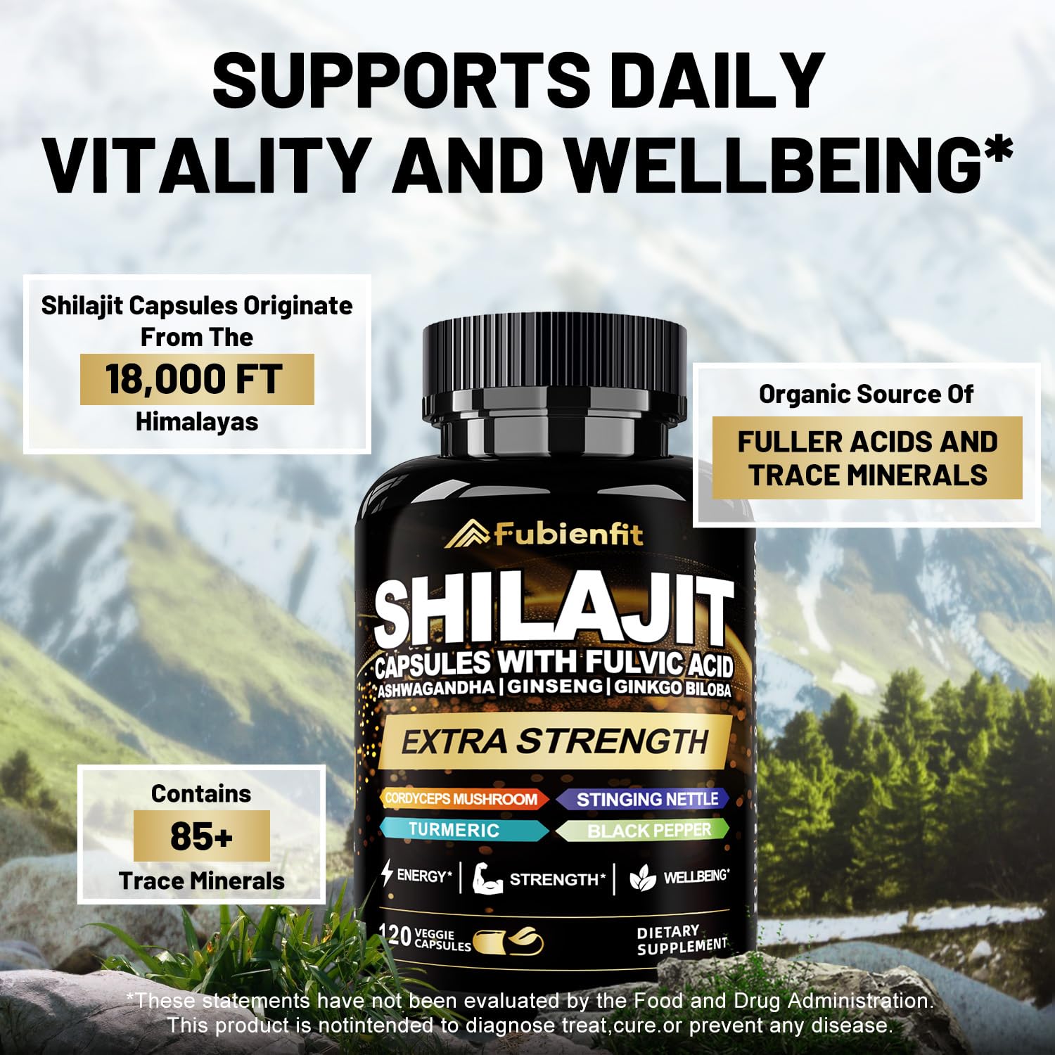 Fubienfit Shilajit Capsules - Premium Shilajit for Men - with Ashwagandha Ginseng and More Fulvic Acid for Men/Women - 120 Capsules