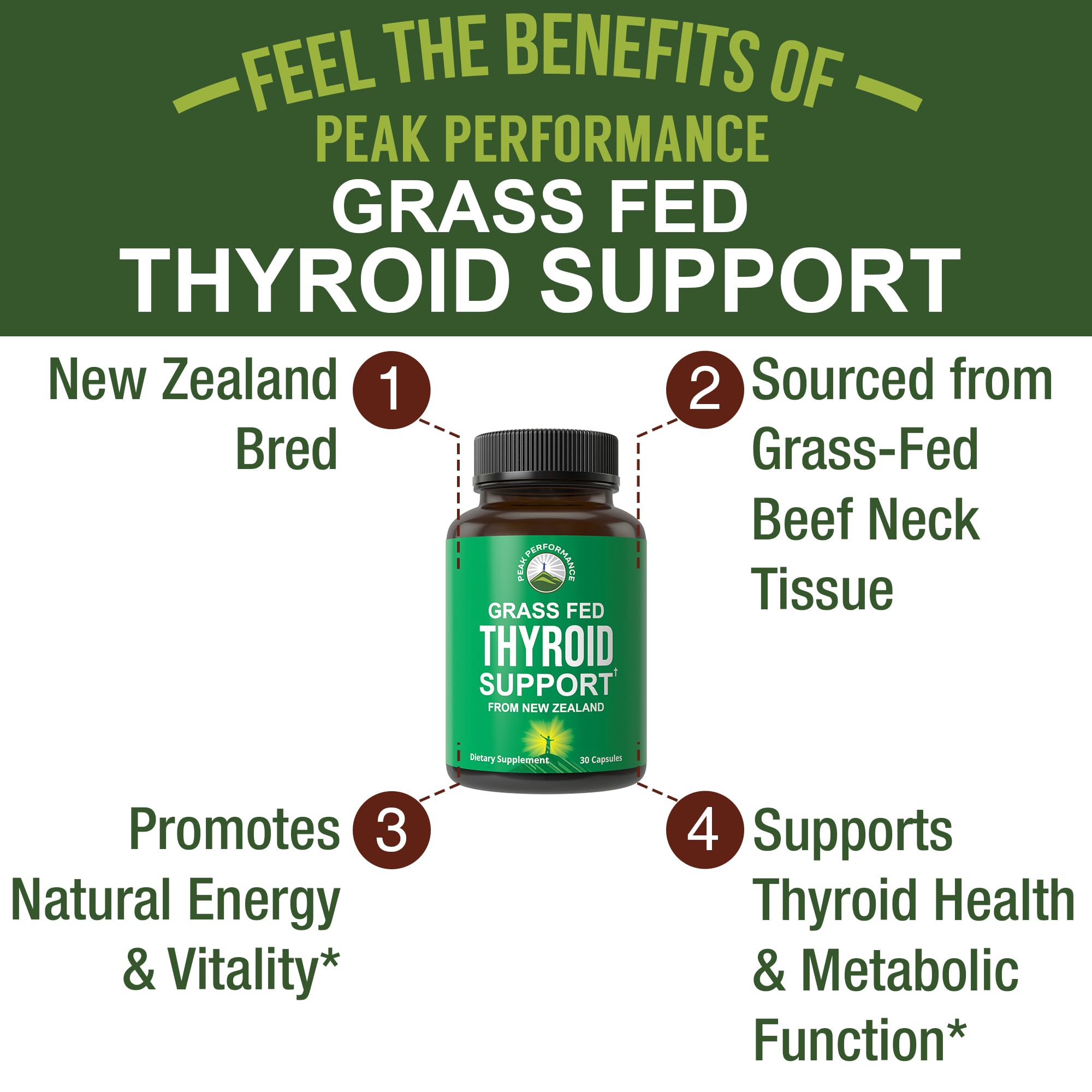 Raw Desiccated Thyroid Supplement. Grass Fed New Zealand Beef Neck & Thyroid Gland Capsules for Women and Men. Ancestral Living Ethically Sourced Bovine Supplements for Energy and Metabolism Support