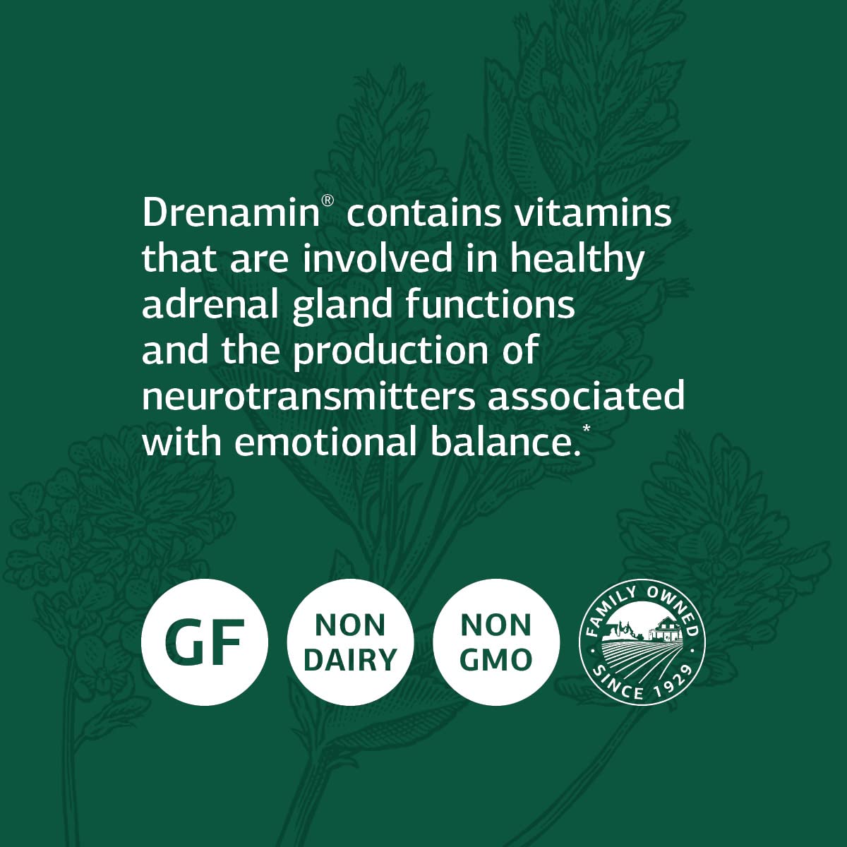 Standard Process Drenamin - Adrenal Function Supplement for Healthy Stress Response - Supports Healthy Energy Production & Metabolism - Gluten-Free, Non-Dairy & Non-Soy - 90 Tablets (90 Servings)
