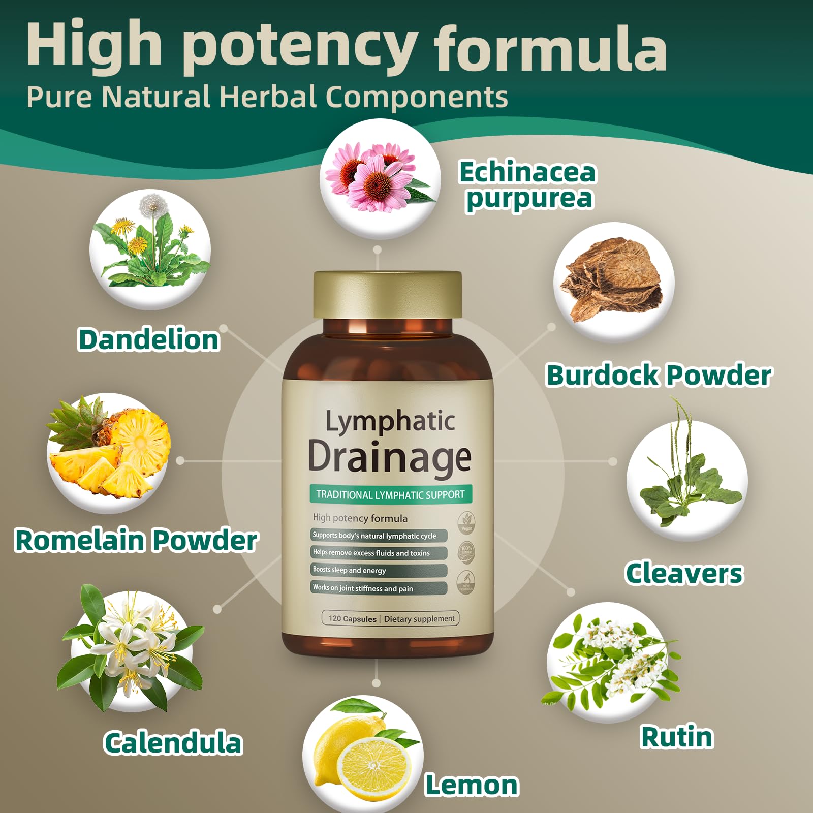 FRZVEO Lymphatic Drainage Capsules, 120 Capsules New Maximum Potency Formula 2 Month Supply with Dandelion Extract, Cleavers Extract - Supports Cellulite Reduction, Lymphatic Drainage & Immune Health