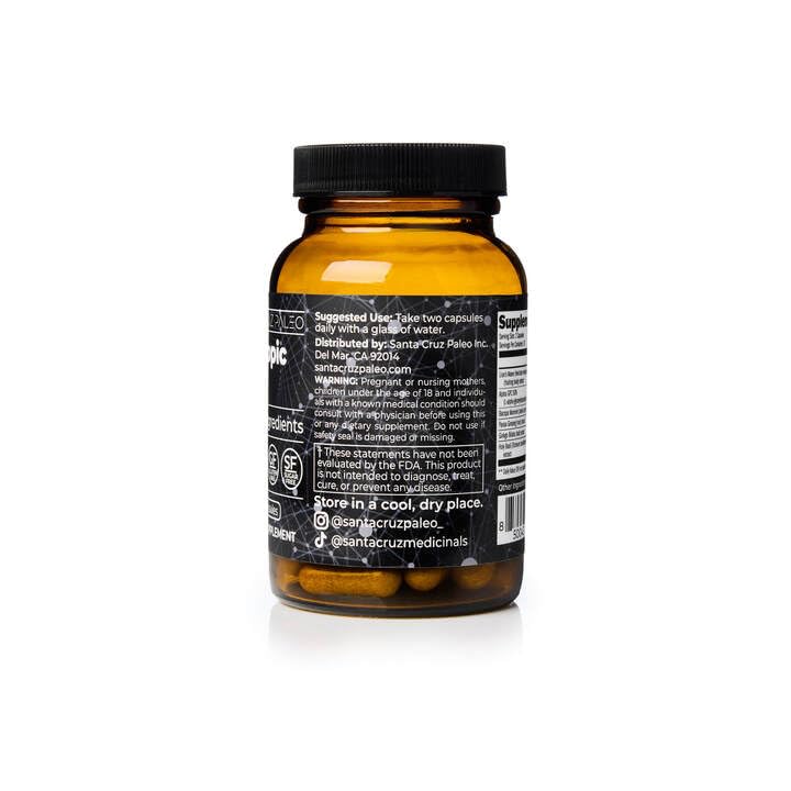 Santa Cruz Paleo Nootropic Capsules – Lions Mane, Alpha GPC, Panax Ginseng & Ginkgo Biloba for Focus, Memory, Mental Clarity & Energy – Keto, Paleo, Gluten Free Brain Supplement, 60 Caps