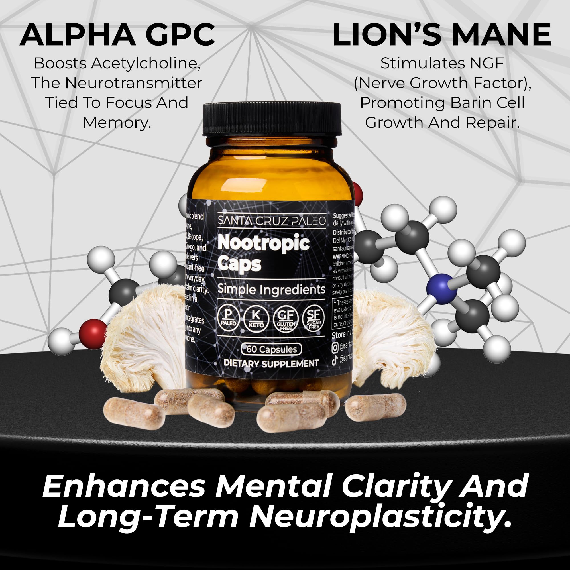 Santa Cruz Paleo Nootropic Capsules – Lions Mane, Alpha GPC, Panax Ginseng & Ginkgo Biloba for Focus, Memory, Mental Clarity & Energy – Keto, Paleo, Gluten Free Brain Supplement, 60 Caps