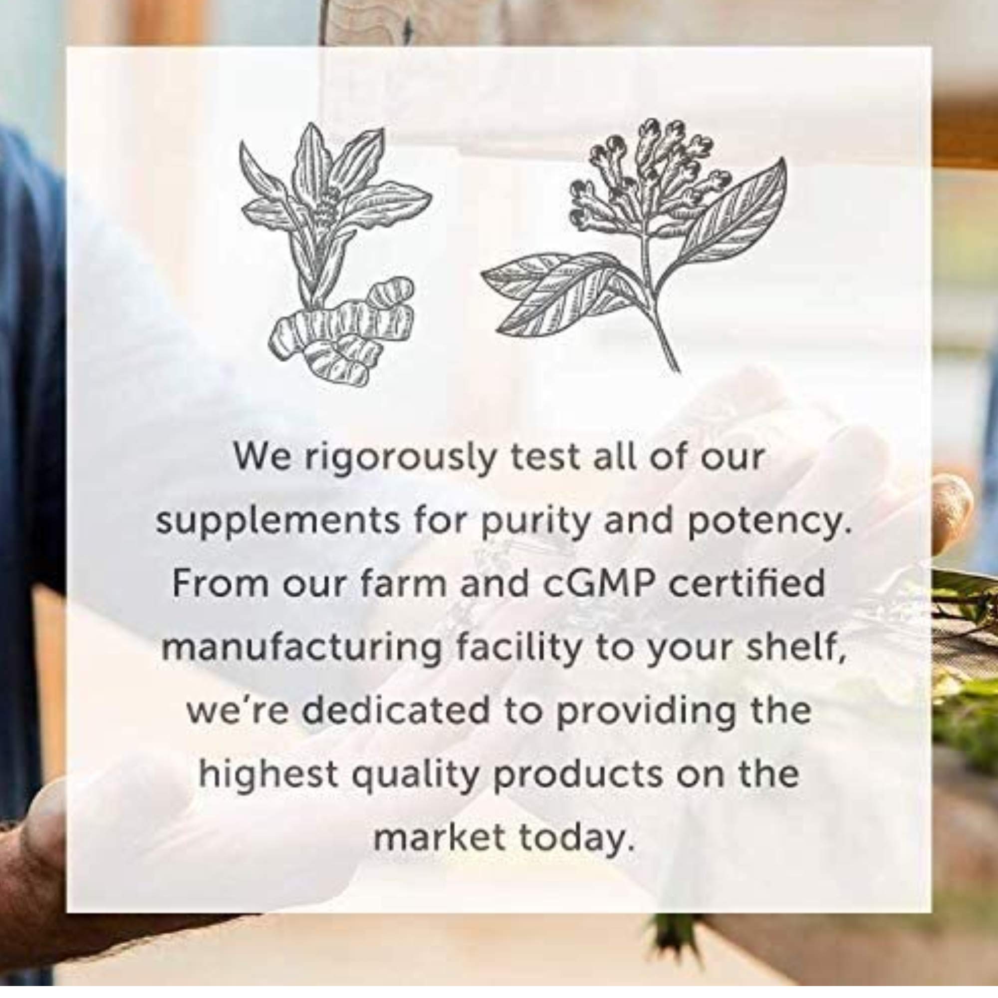 Global Healing Center - Vitamin B12 5000 mcg, Organic Sublingual Liquid Drops | 3-in-1 Methylcobalamin, Adenosylcobalamin, Hydroxo Blend, 1 Fl Oz (2-Pack)