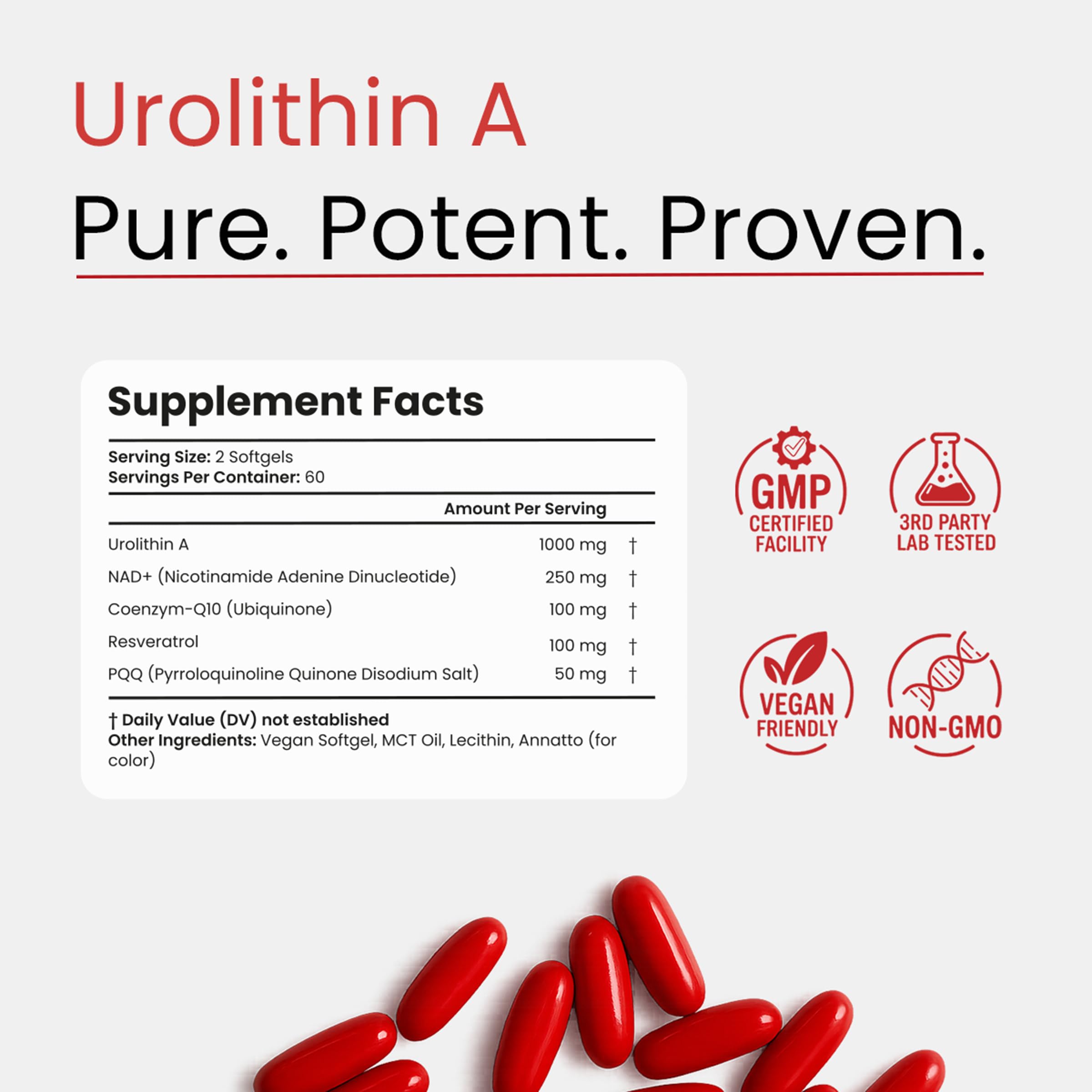 Urolithin A Supplement with NAD, Resveratrol, CoQ10, PQQ – 5-in-1 Longevity Complex to Support Healthy Aging, Mitochondrial Energy, Cellular Renewal, Cognitive Function, Muscle Health – 2 Month Supply