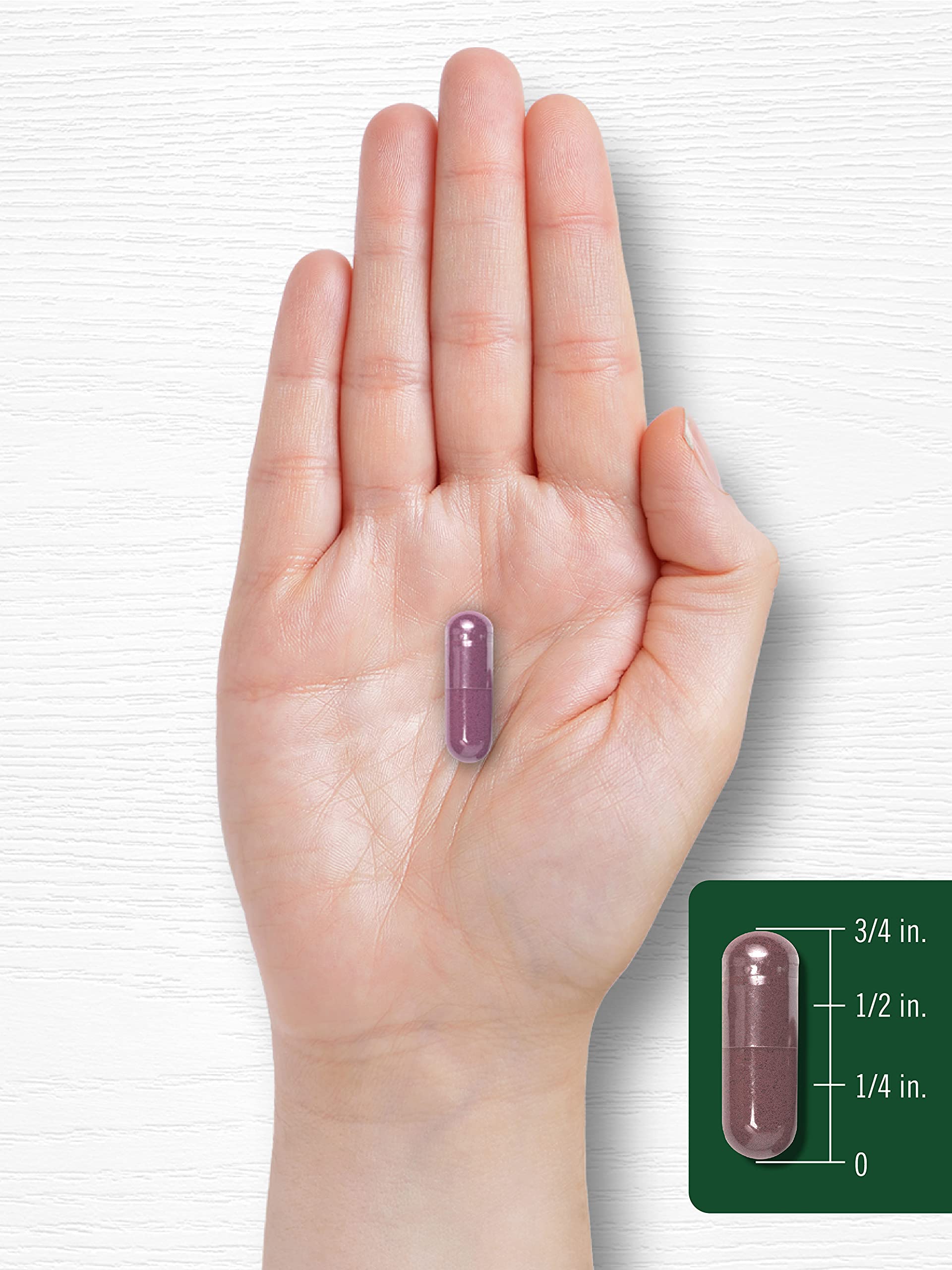 Carlyle Grape Seed Extract | 240 Capsules | Maximum Strength Standardized Extract | Non-GMO, Gluten Free