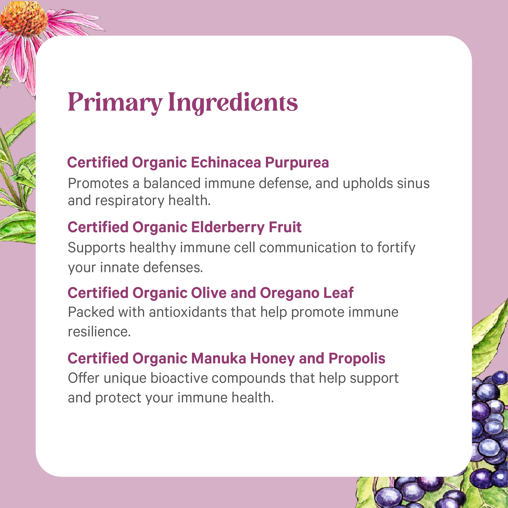 PURE SYNERGY Rapid Rescue | Organic Immune Support Capsules | Herbal Supplement with Echinacea, Elderberry, and Olive Leaf Extracts | for Immediate Immune Support (42 Capsules)