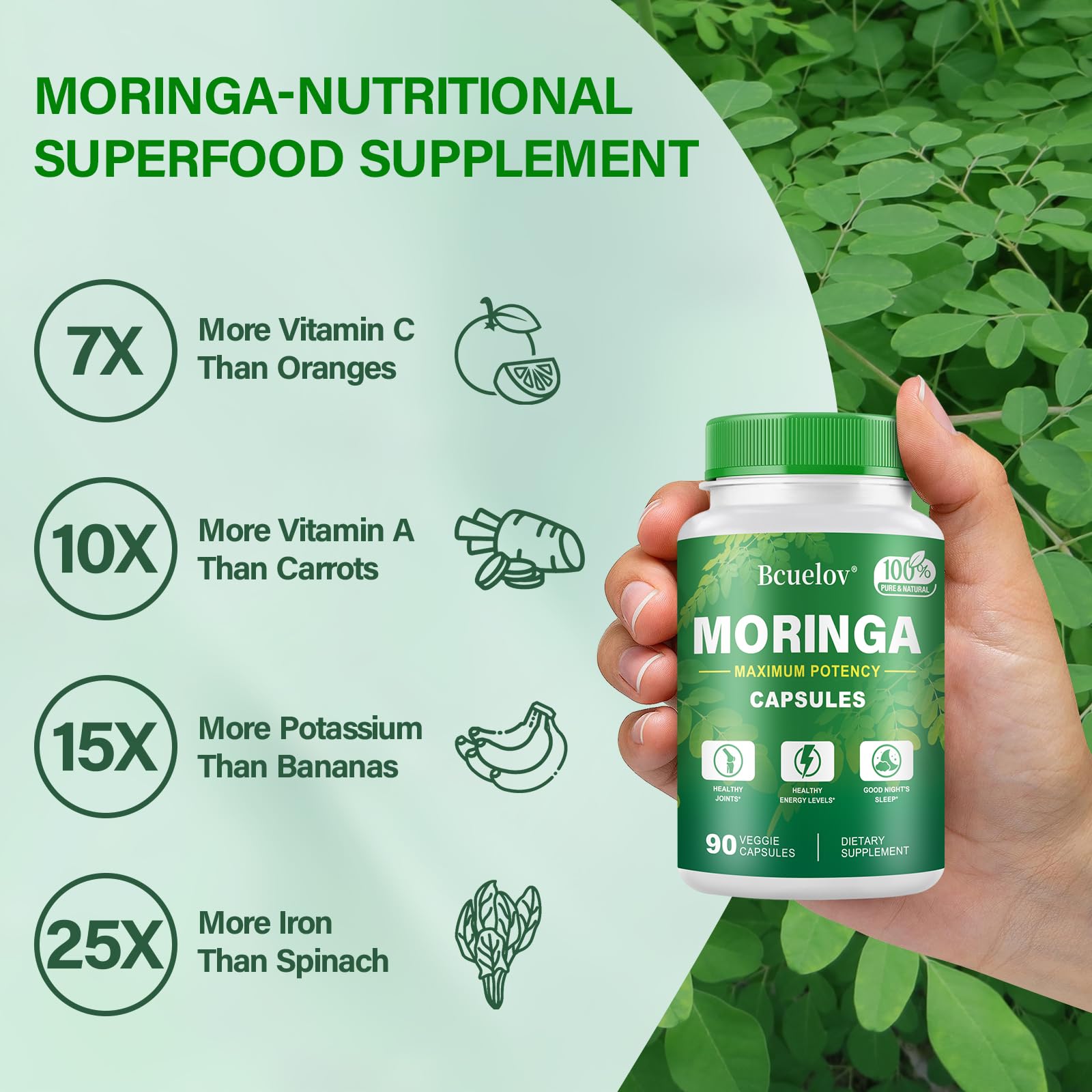Bcuelov Moringa Capsules 2 Bottles | 800mg Pure Moringa Powder Capsules – Supports Energy, Immune Support, Gut Health, Green Superfood Contains Vitamins & Amino Acids