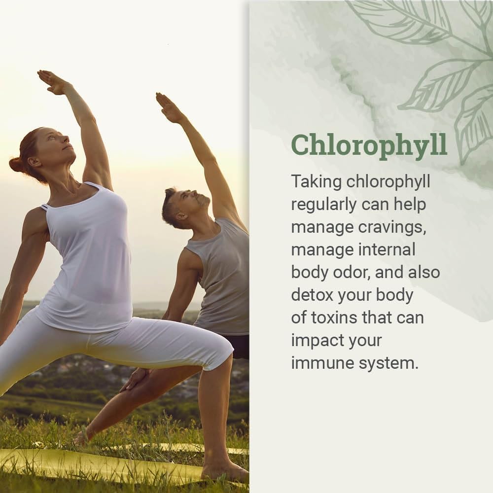 Liquid Chlorophyll, Liquid Drops for Immune System Support, Natural Internal Deodorant - Vegan Chlorophyll Drops with Organic Glycerin - Clorofila Liquida, Chlorophyllin Detox Cleanse (1 mL)