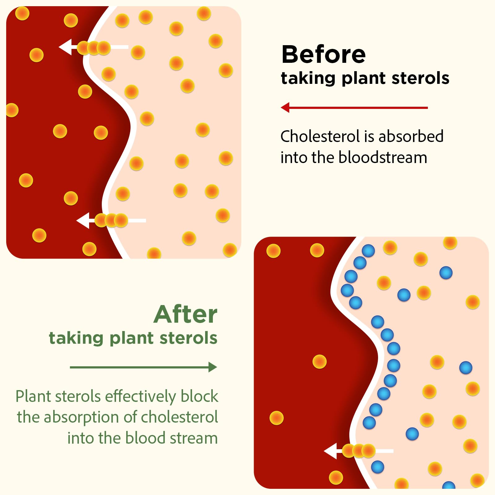 Advanced Cholesterol Lowering Supplements & for High Cholesterol | Liquid-Filled Capsules for Maximum Absorption | Plant Sterols, Policosanol, Bergamot Extract | Triple-Action Formula,180 Capsules
