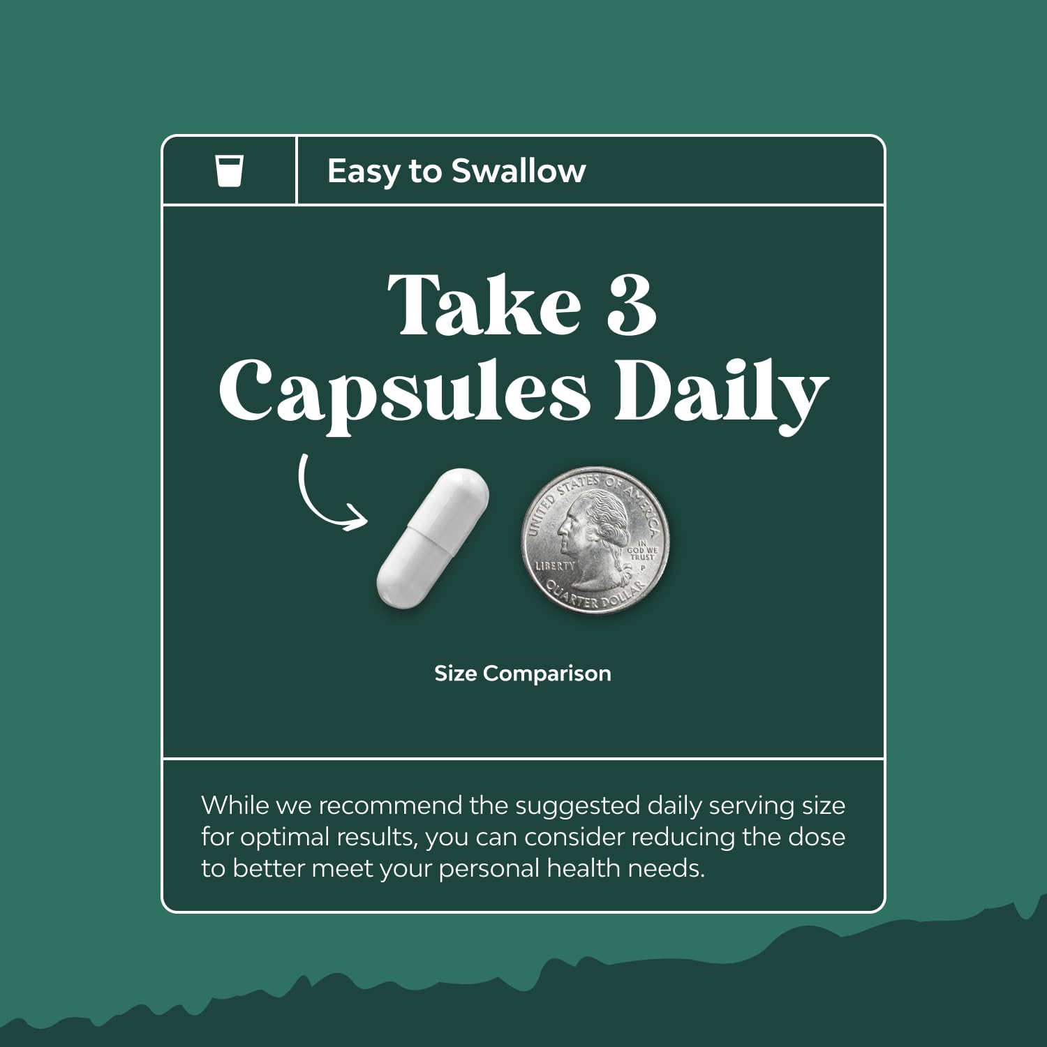 Digestive Enzymes with Ox Bile - Ox Bile Supplements for No Gallbladder with Trypsin, Papain & Bromelain Enzyme for Pancrease Cleanse & Detox - Pancreatin Digestion Enzymes for Women & Men - 90 Ct