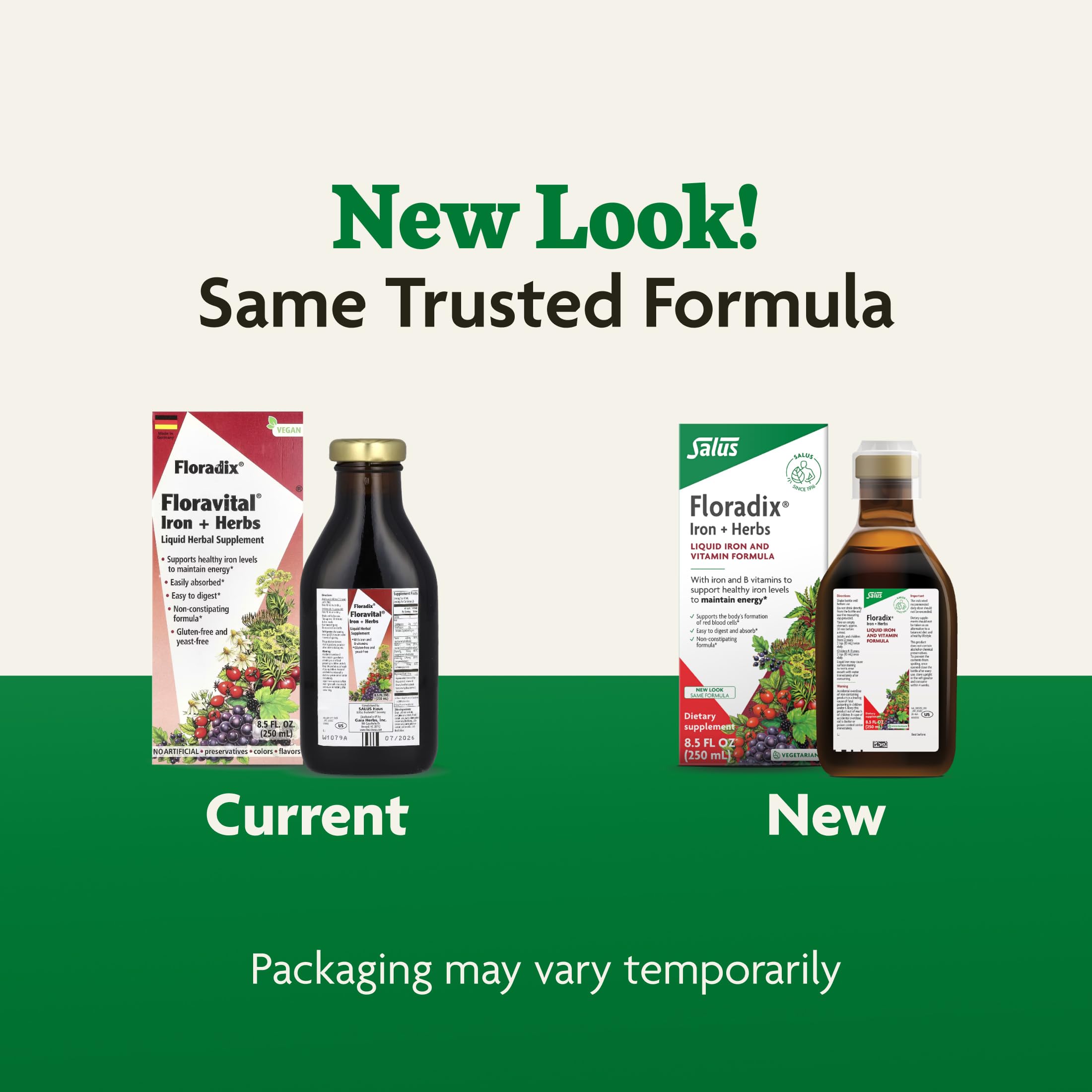 Floradix Iron & Herbs - Liquid Herbal Supplement for Energy Support - Iron Supplement with Vitamin C & Vitamin B Complex - for Men & Women - 8.5 fl oz