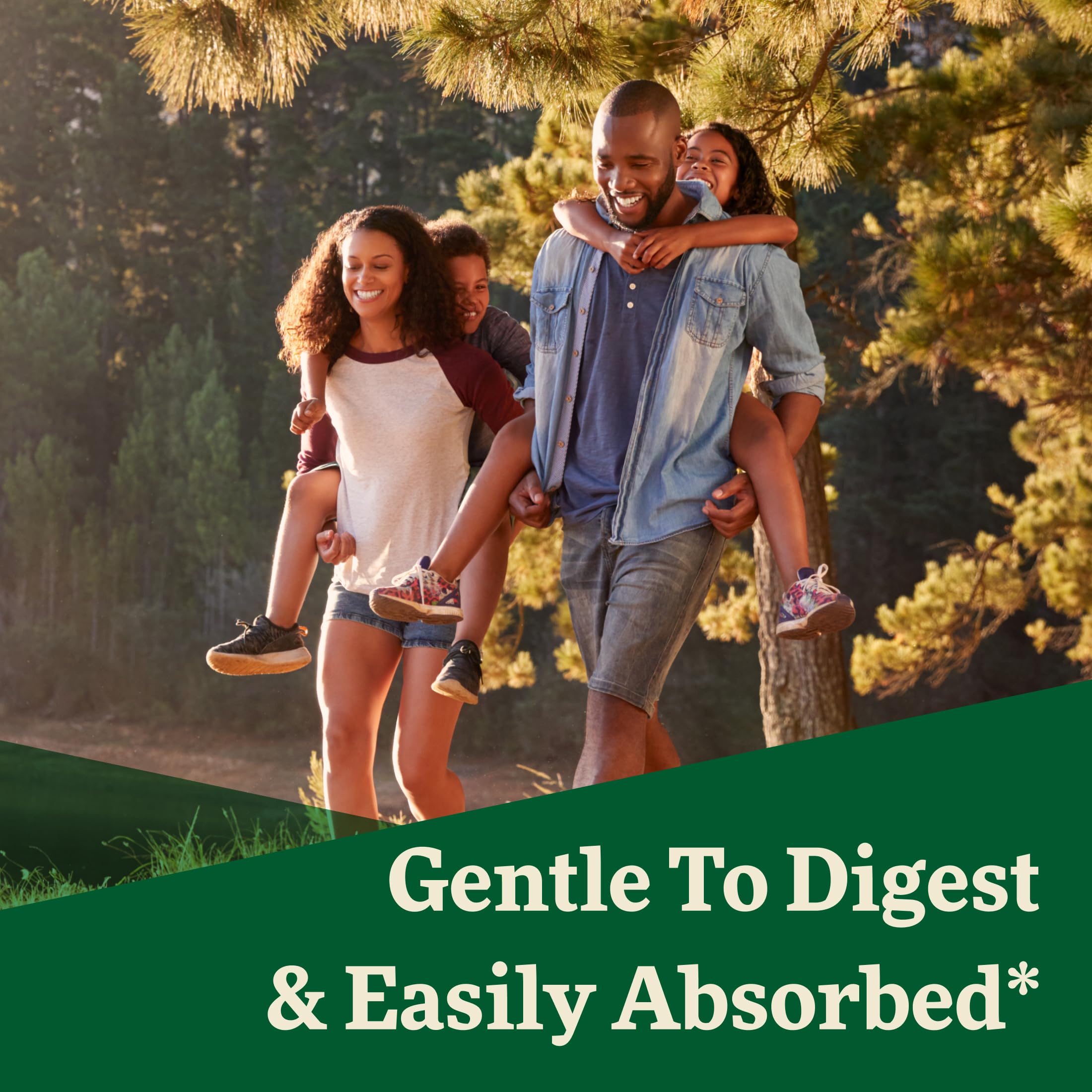 Floradix Iron & Herbs - Liquid Herbal Supplement for Energy Support - Iron Supplement with Vitamin C & Vitamin B Complex - for Men & Women - 8.5 fl oz