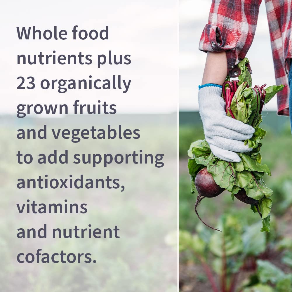 Garden of Life Vitamin B Complex, 120 Vegan Capsules, High Potency Vitamins for Energy & Metabolism with B6, Folate & B12 as Methylcobalamin Plus Probiotics