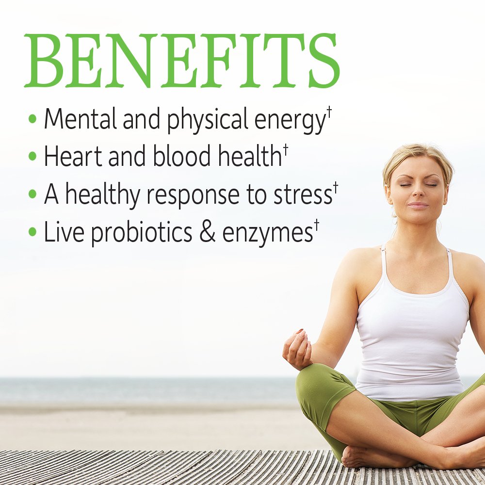 Garden of Life Vitamin B Complex, 120 Vegan Capsules, High Potency Vitamins for Energy & Metabolism with B6, Folate & B12 as Methylcobalamin Plus Probiotics