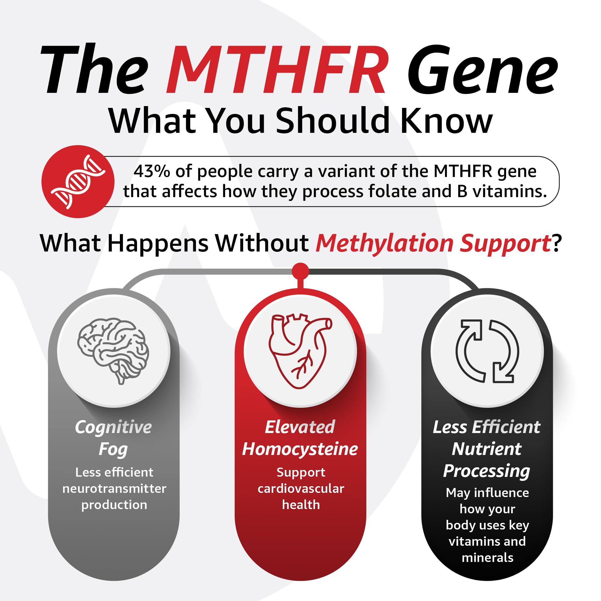 10X Health Optimize Methylated Multivitamin for Men - 90 Capsules, 34 in 1 Formula with 800 mcg of Vitamin B12, 5-MTHF, NAC - Methyl B Complex