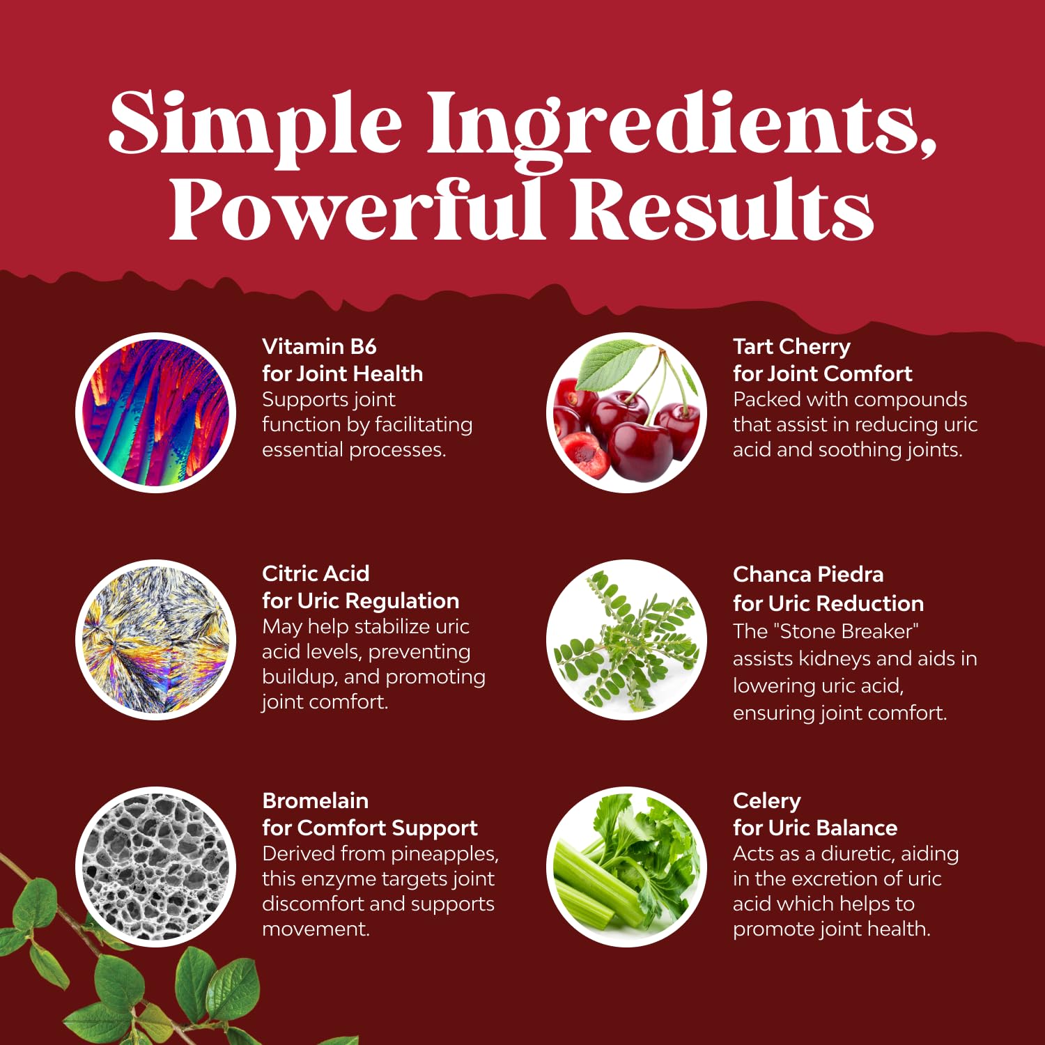 Green Coffee Bean Extract for Uric Acid Cleanse & Detox - Green Coffee Beans with Turmeric, Tart Cherry & Celery Seed for Adults - Daily Uric Acid Flush for Joints Support & Kidney Cleanser – 60 Ct