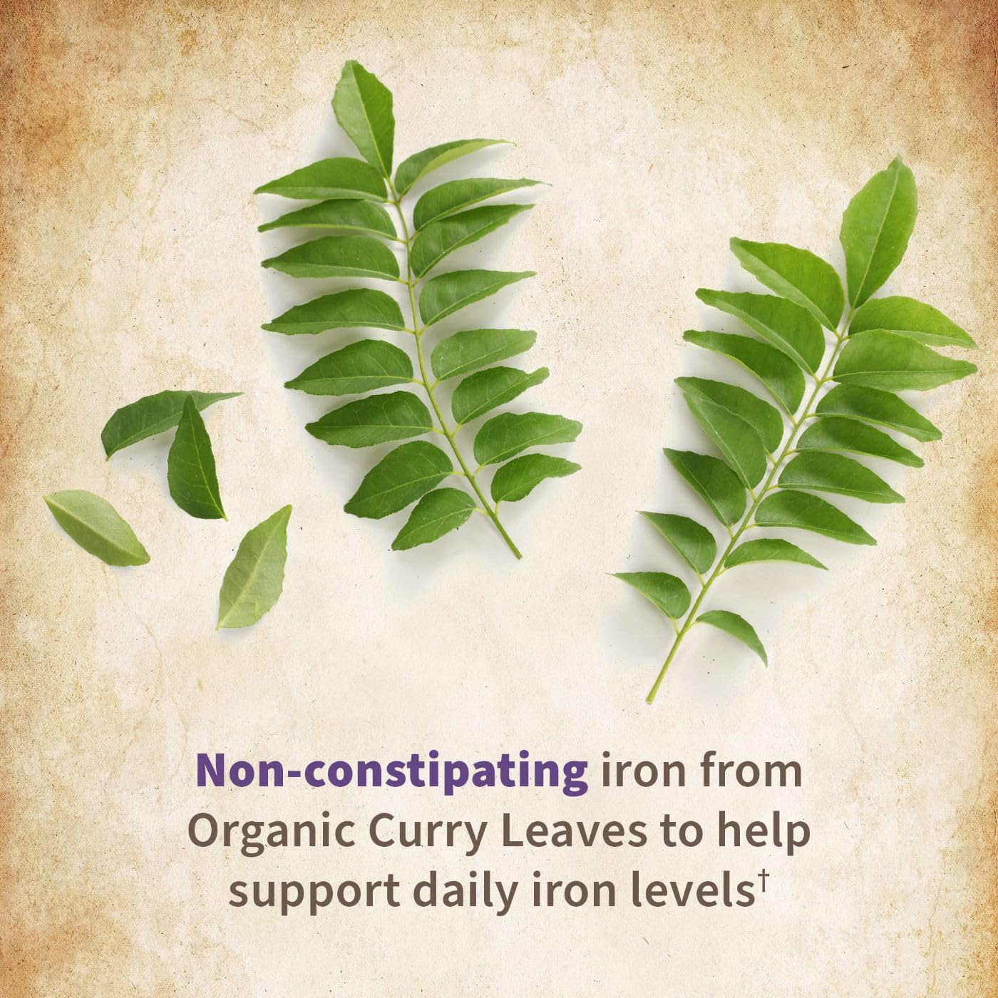 Garden of Life Prenatal Vitamins for Women, Organics Folate for Energy & Healthy Fetal Development,Non-constipating Iron,Vitamin C, B6, B12, D3,Non-GMO,Gluten-Free, Vegan, 90 Day Supply (Pack of 2)