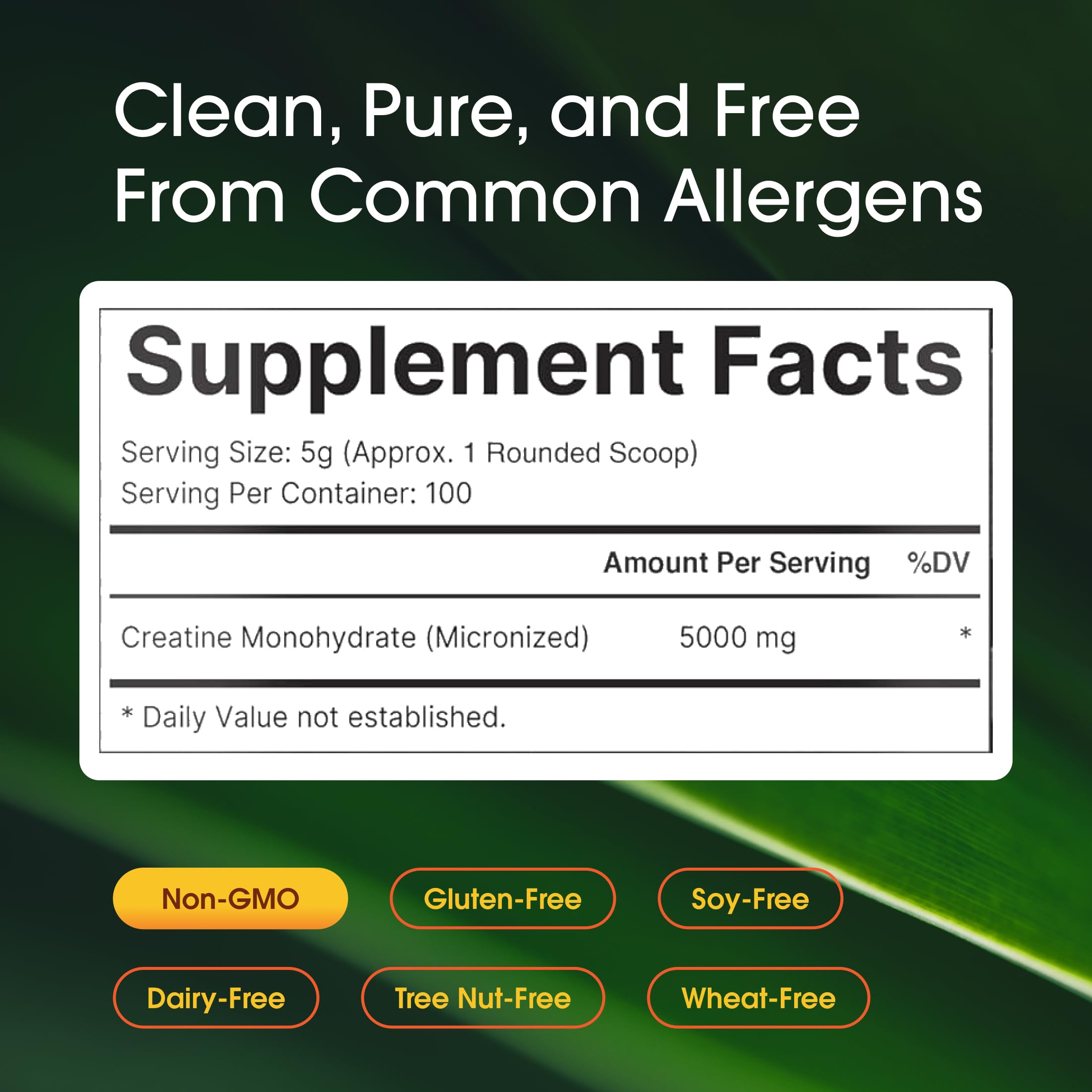 NatureBell Creatine Monohydrate Powder - 500g - Micronized Powder - Delivers 5,000mg Creatine Per Serving - Pre-Workout or Post-Workout Support* - Vegan & Keto Friendly - Unflavored