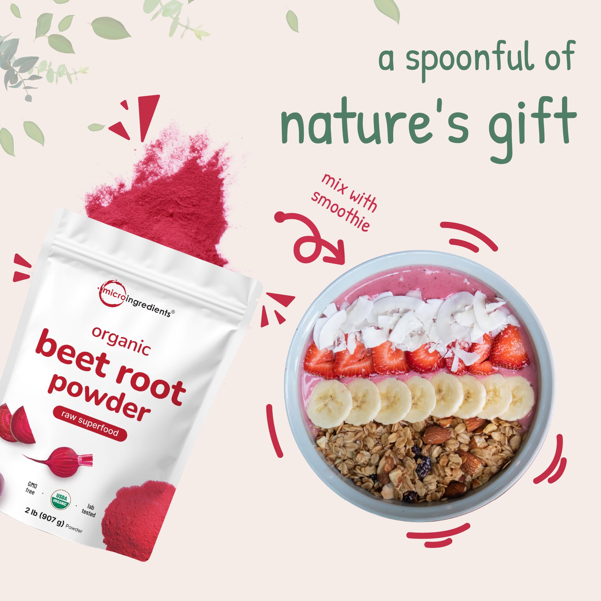Micro Ingredients Organic Beet Root Powder, 2 Pounds | Cold Pressed, Water Soluble, High Concentrated Raw Beet Supplement | Superfood Drink Mix | Non-GMO, Vegan Friendly, Plant Based