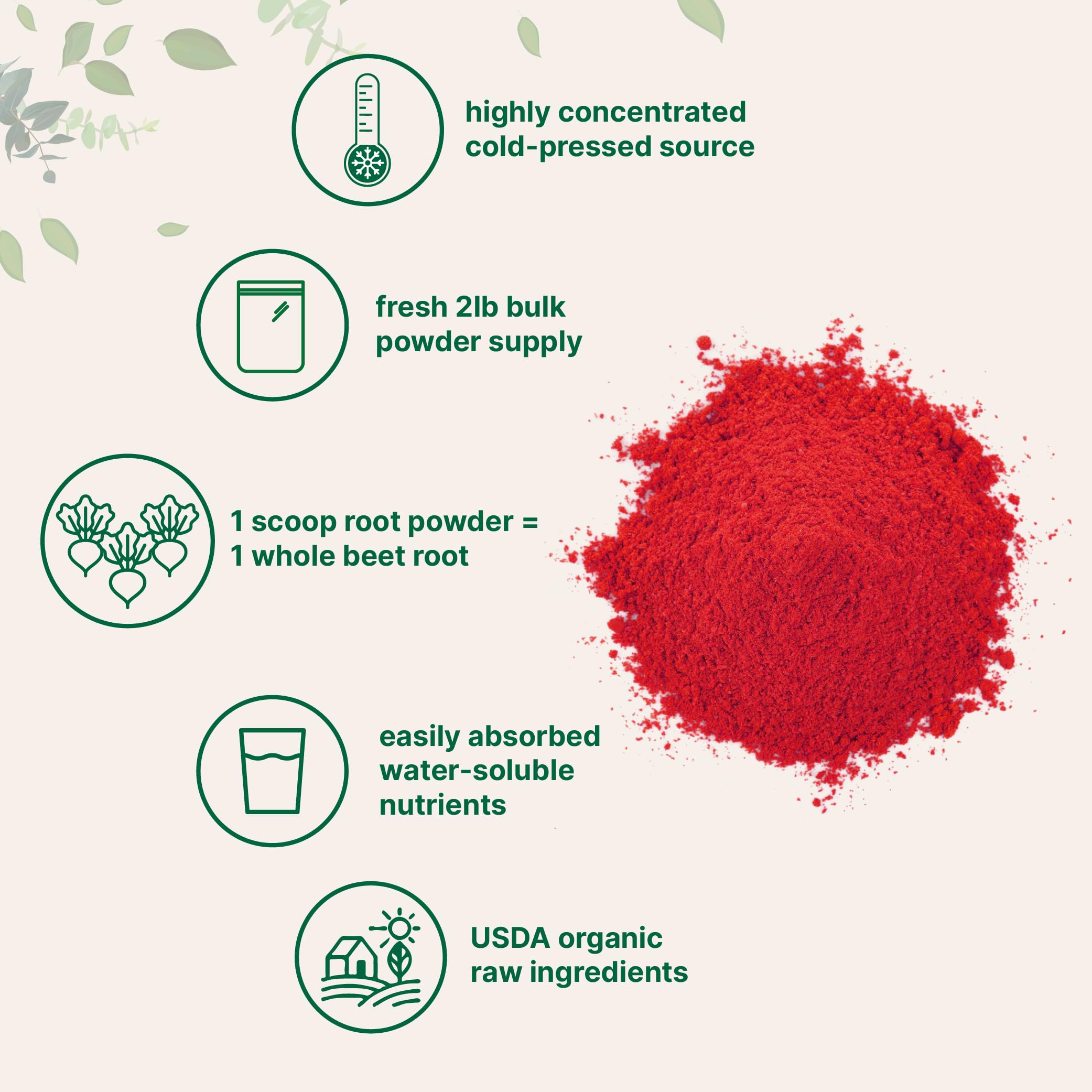 Micro Ingredients Organic Beet Root Powder, 2 Pounds | Cold Pressed, Water Soluble, High Concentrated Raw Beet Supplement | Superfood Drink Mix | Non-GMO, Vegan Friendly, Plant Based