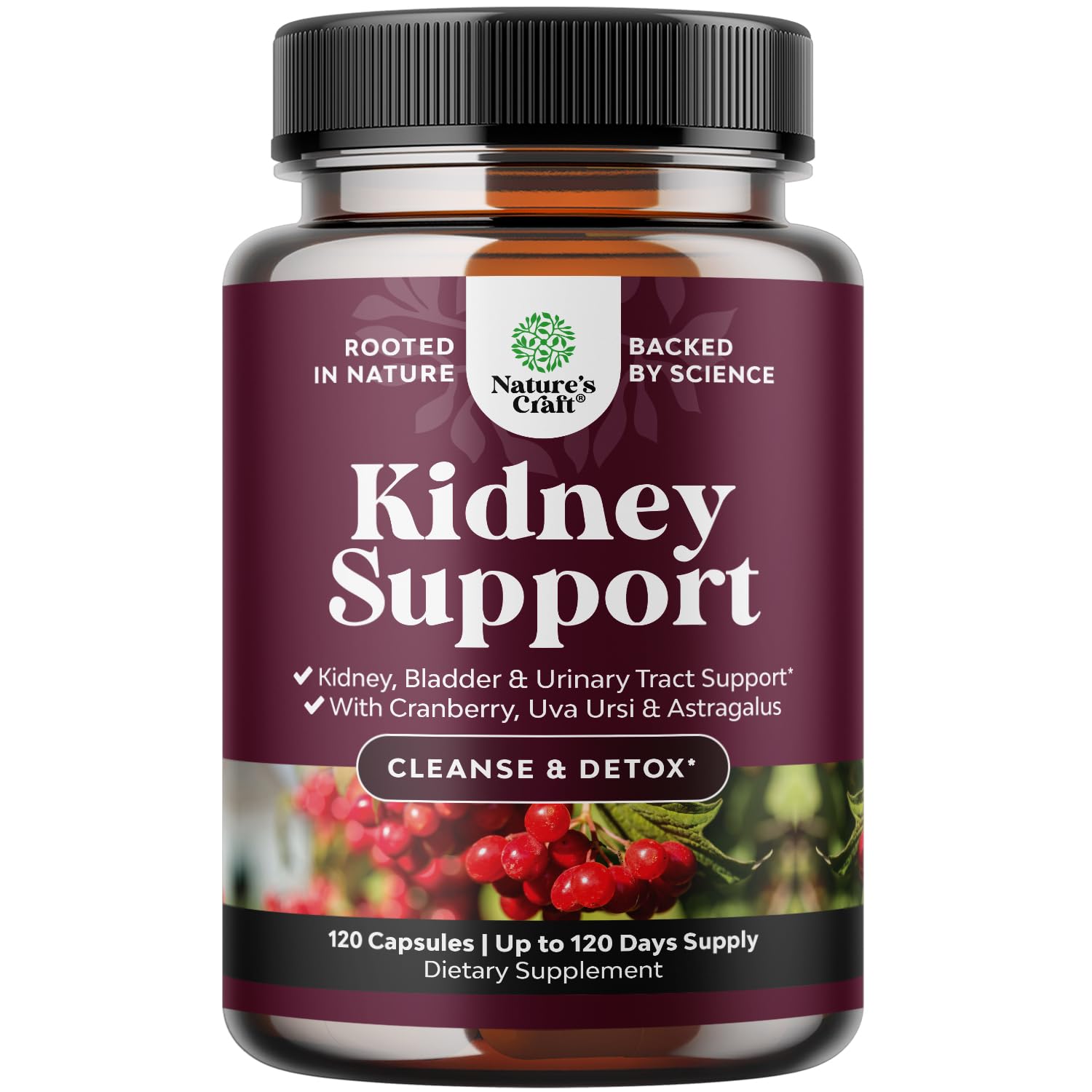 Advanced Kidney Support Supplement - Kidney Cleanse Detox & Repair Cranberry Extract Capsules with Uva Ursi, Stinging Nettle & Astragalus for Kidney health - Urinary Tract Health - 120 Count