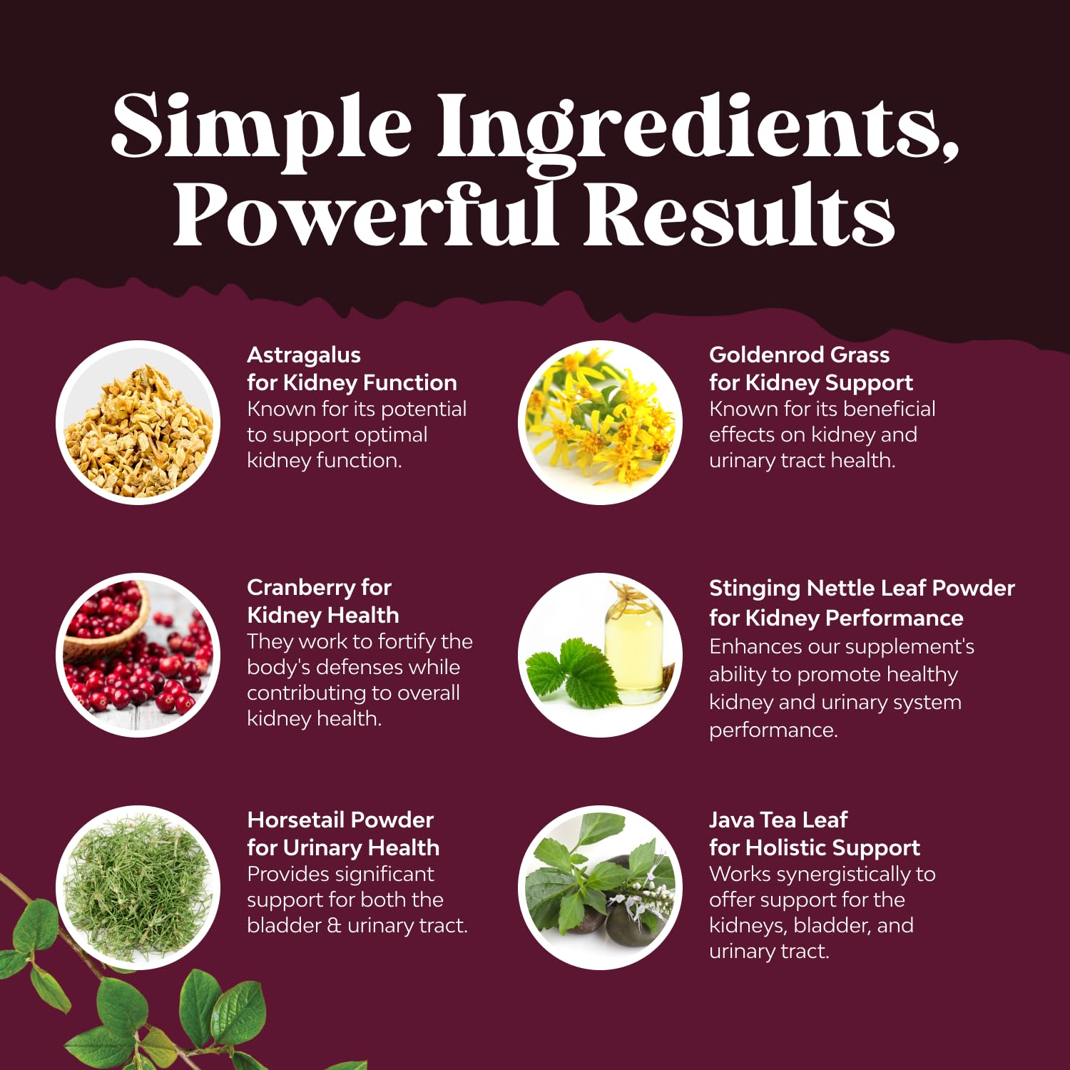 Advanced Kidney Support Supplement - Kidney Cleanse Detox & Repair Cranberry Extract Capsules with Uva Ursi, Stinging Nettle & Astragalus for Kidney health - Urinary Tract Health - 120 Count