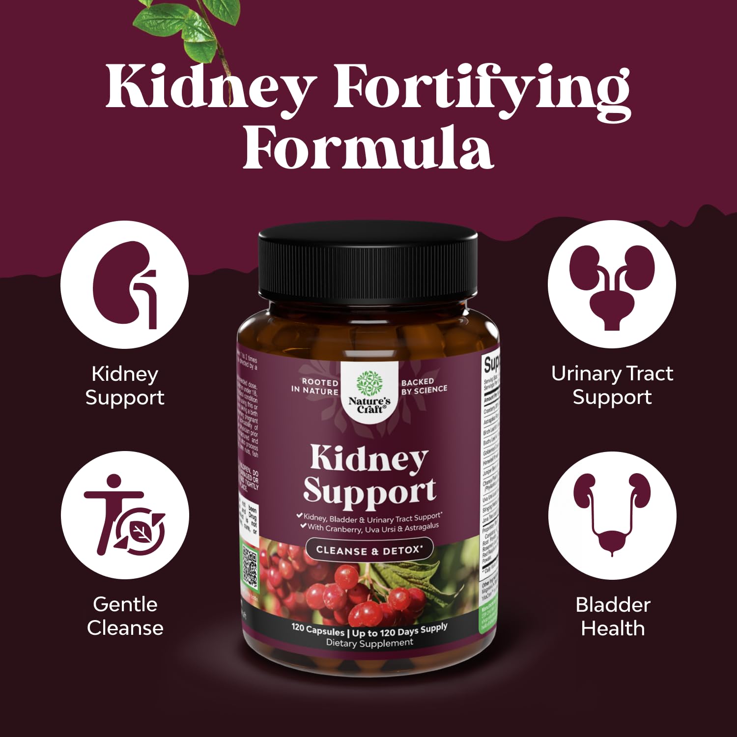 Advanced Kidney Support Supplement - Kidney Cleanse Detox & Repair Cranberry Extract Capsules with Uva Ursi, Stinging Nettle & Astragalus for Kidney health - Urinary Tract Health - 120 Count