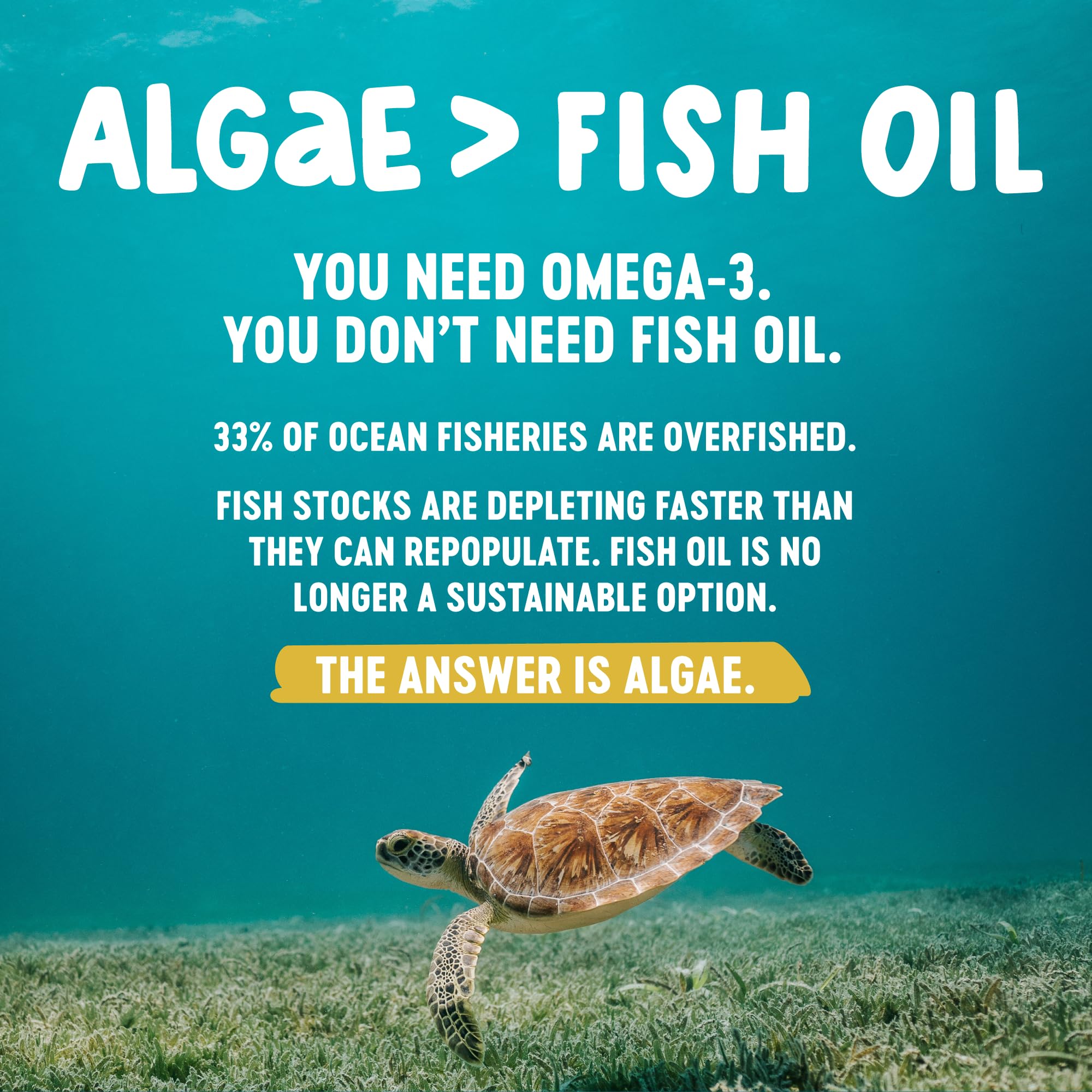 Freshfield Omega 3, DHA Supplements, Potent 1 per Day Formula, Algae (Algal) Oil, Vegan Omega, Ocean Saving Fish Oil Alt, Sustainable, Concentrated DHA per Capsule, w/DPA