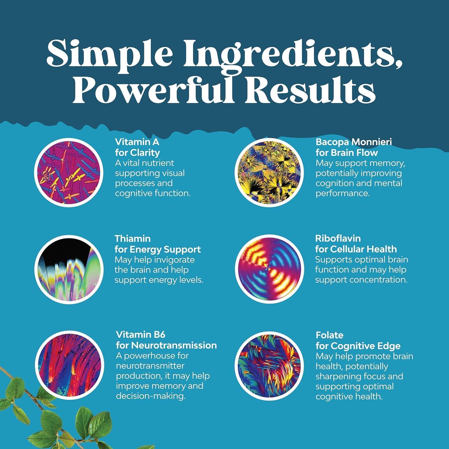 Nootropic Brain Supplement for Memory and Focus Support - Vitamins for Mental Support & Clarity with Bacopa Monnieri, VIT A, B6, Riboflavin, Niacin, Thiamin & Folate - Cognitive Complex - 90 Count