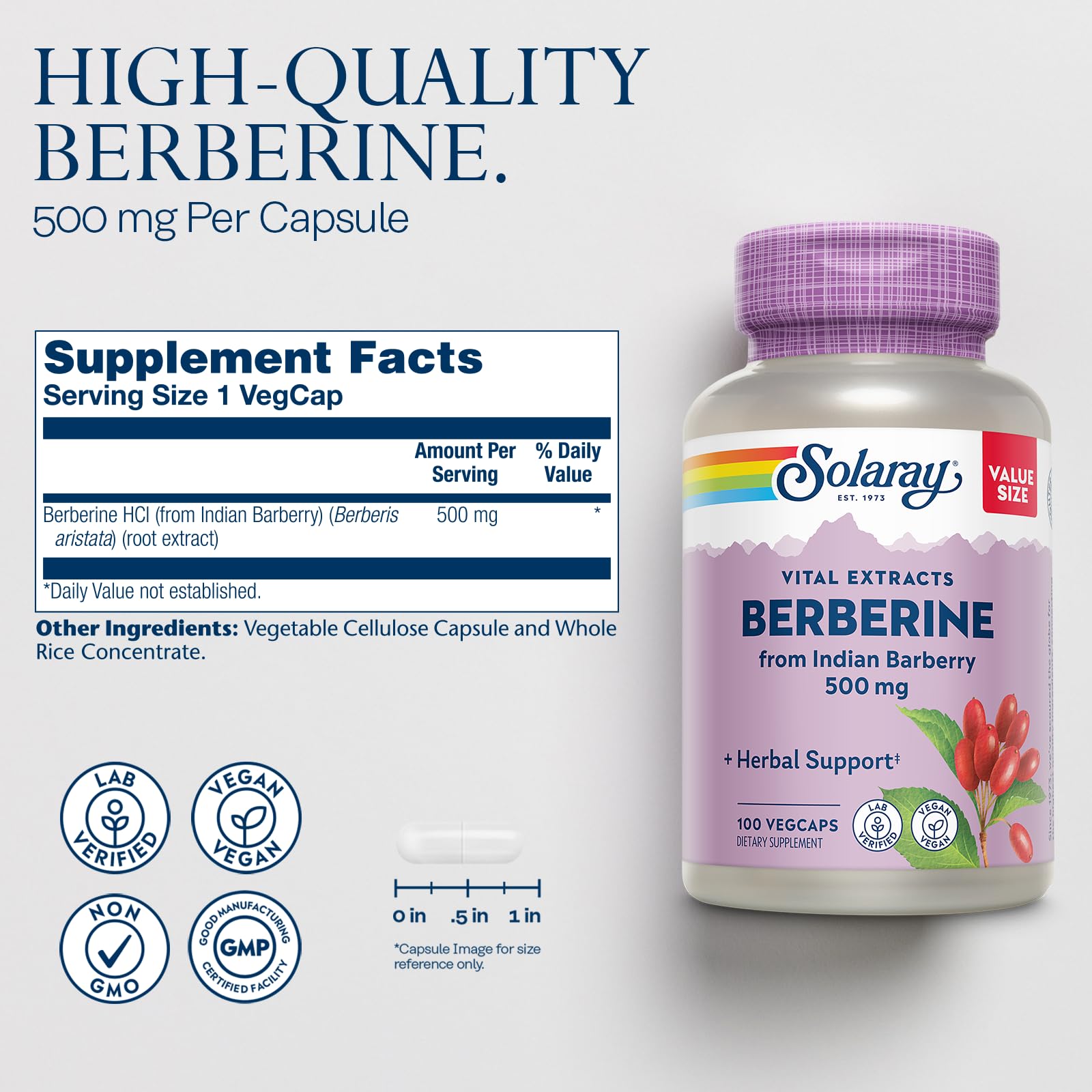 SOLARAY Berberine 500mg - Berberine Supplement for a Healthy, Active Lifestyle - with Berberine HCl from Indian Barberry - Vegan, Non-GMO, 60-Day Guarantee, Lab Verified - 100 Servings, 100 VegCaps
