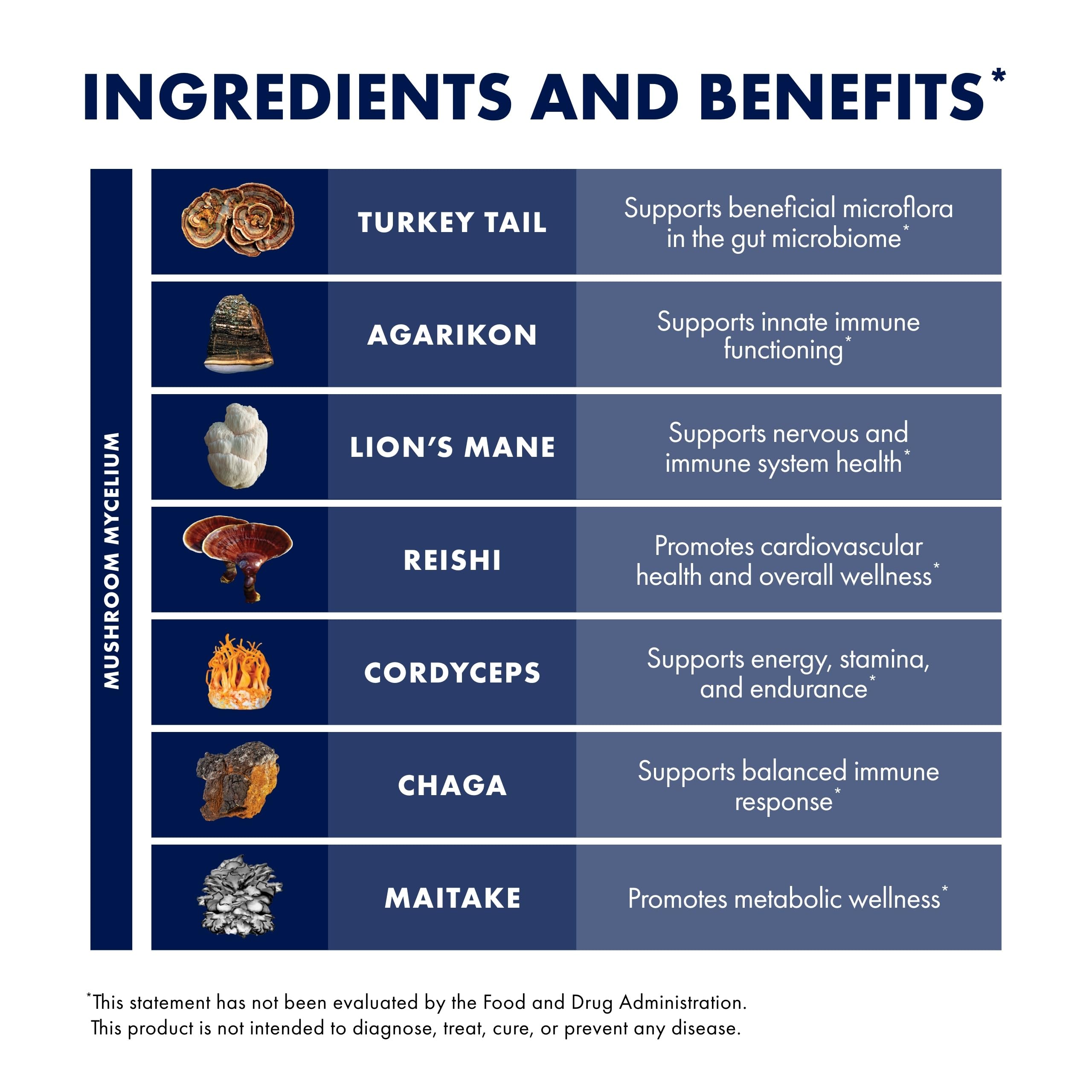 Host Defense MyCommunity Capsules - 17 Species Blend Mushroom Supplement for Immune Support - Herbal Aid with Lion's Mane, Reishi. Chaga, Cordyceps, Turkey Tail & More - 120 Capsules