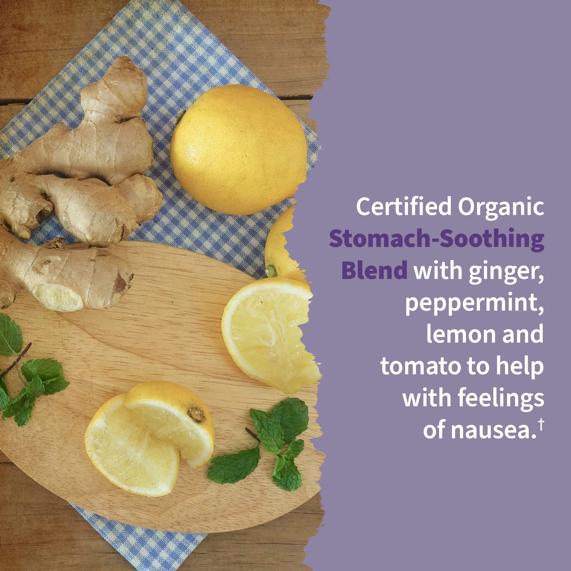 Garden of Life Organics Women’s Prenatal Multivitamin with Vitamin D3,B6,B12,C & Iron,Folate for Energy & Healthy Fetal Development – Organic,Non-GMO,Gluten-Free,Vegan,60 Day Supply,(Pack of 2)