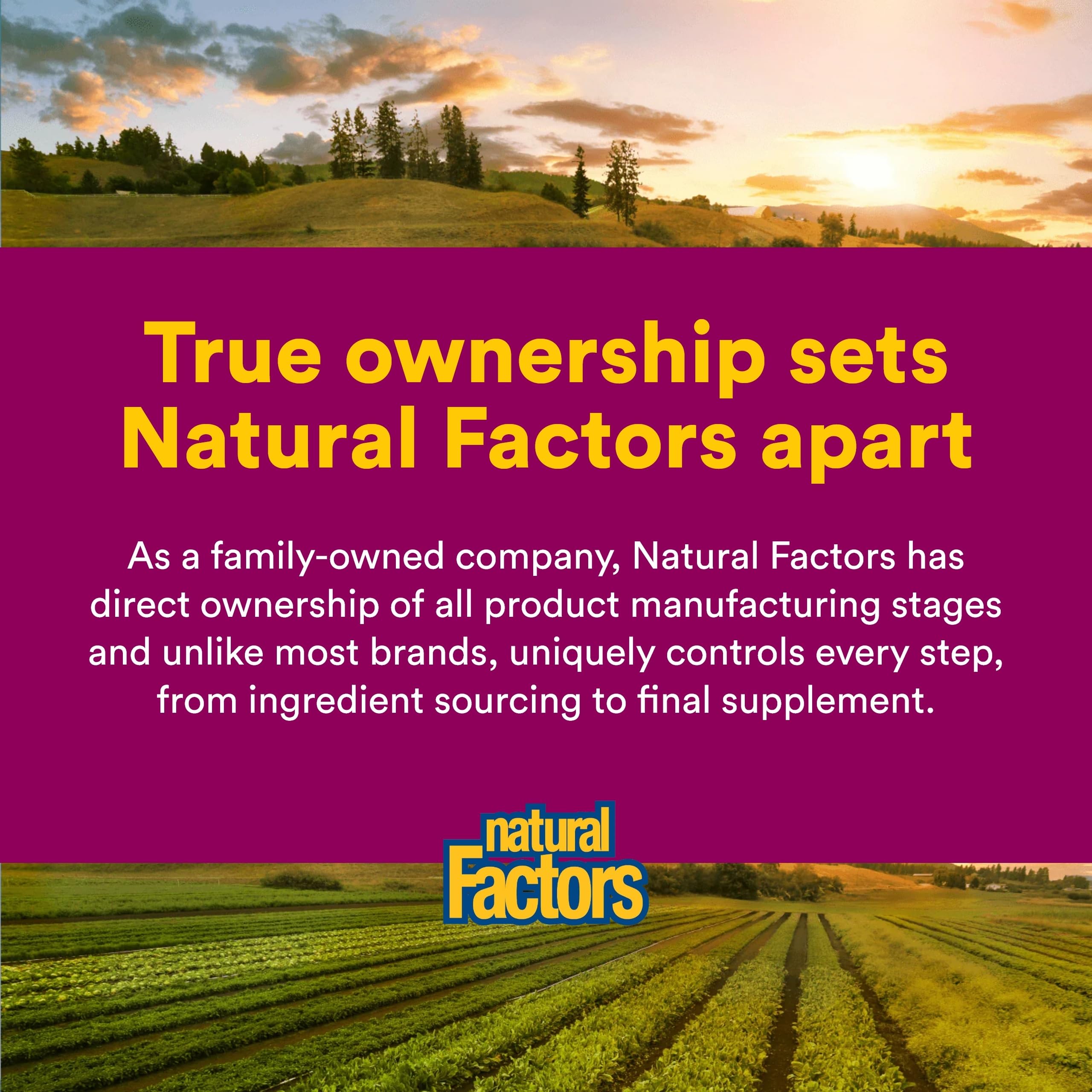 Natural Factors Oil of Oregano - Liquid Antioxidant Support Supplement for Immune Support - Easy Swallow Health Supplement with Non-GMO & Gluten-Free Formula - 3.25 fl oz