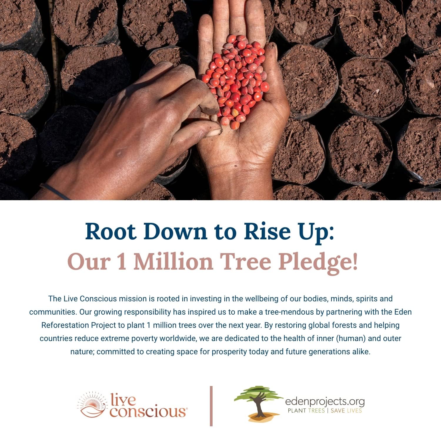 Live Conscious Vitamin K2 MK7 with D3 Supplement | Bone & Heart Health Support - Patented Vitamin K & Vitamin D3 5000 IU - 60 Softgels