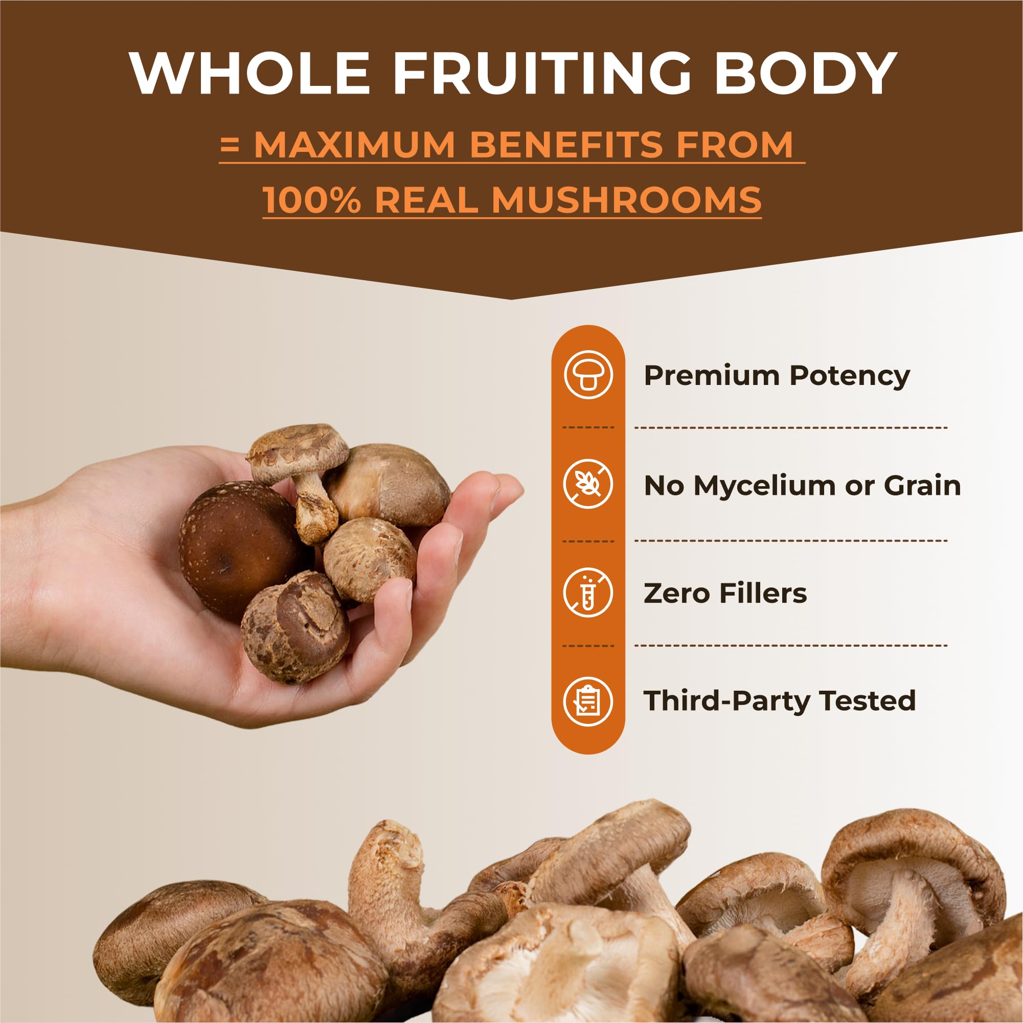 Naturealm Sacred 7 Mushroom 7-in-1 Blend Capsules Supplement (30 Day Supply) | Supports Daily Immune Defense & Focus | Lions Mane, Reishi, Chaga & More | Organic, Premium 100% Fruiting Body Extract