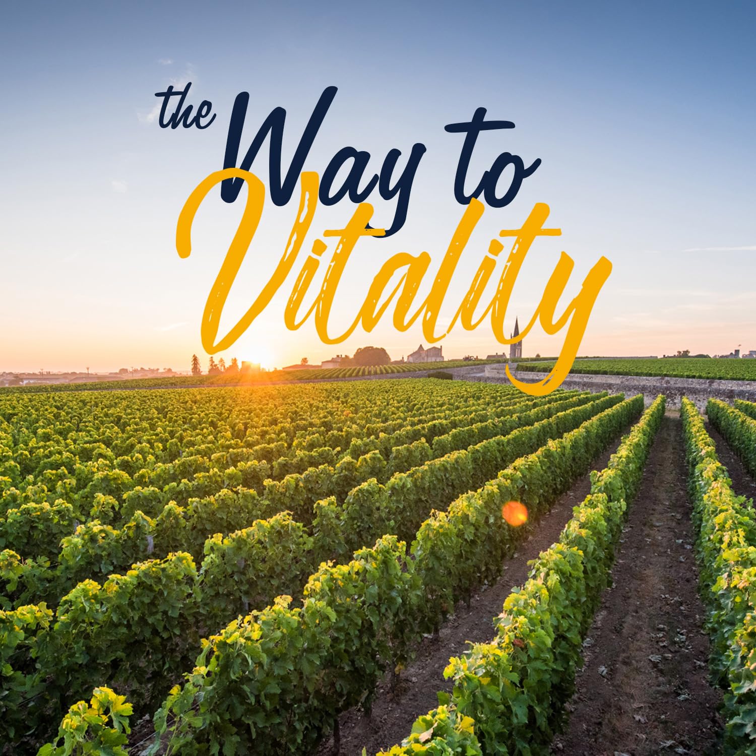 VITALITOWN Probiotics 120 Billion CFUs | 36 Strains, with Prebiotics & Digestive Enzymes for Men Women | Shelf Stable | Digestive Health & Immune Support | Vegan, Non-GMO | 30 Delayed Release Veg Caps