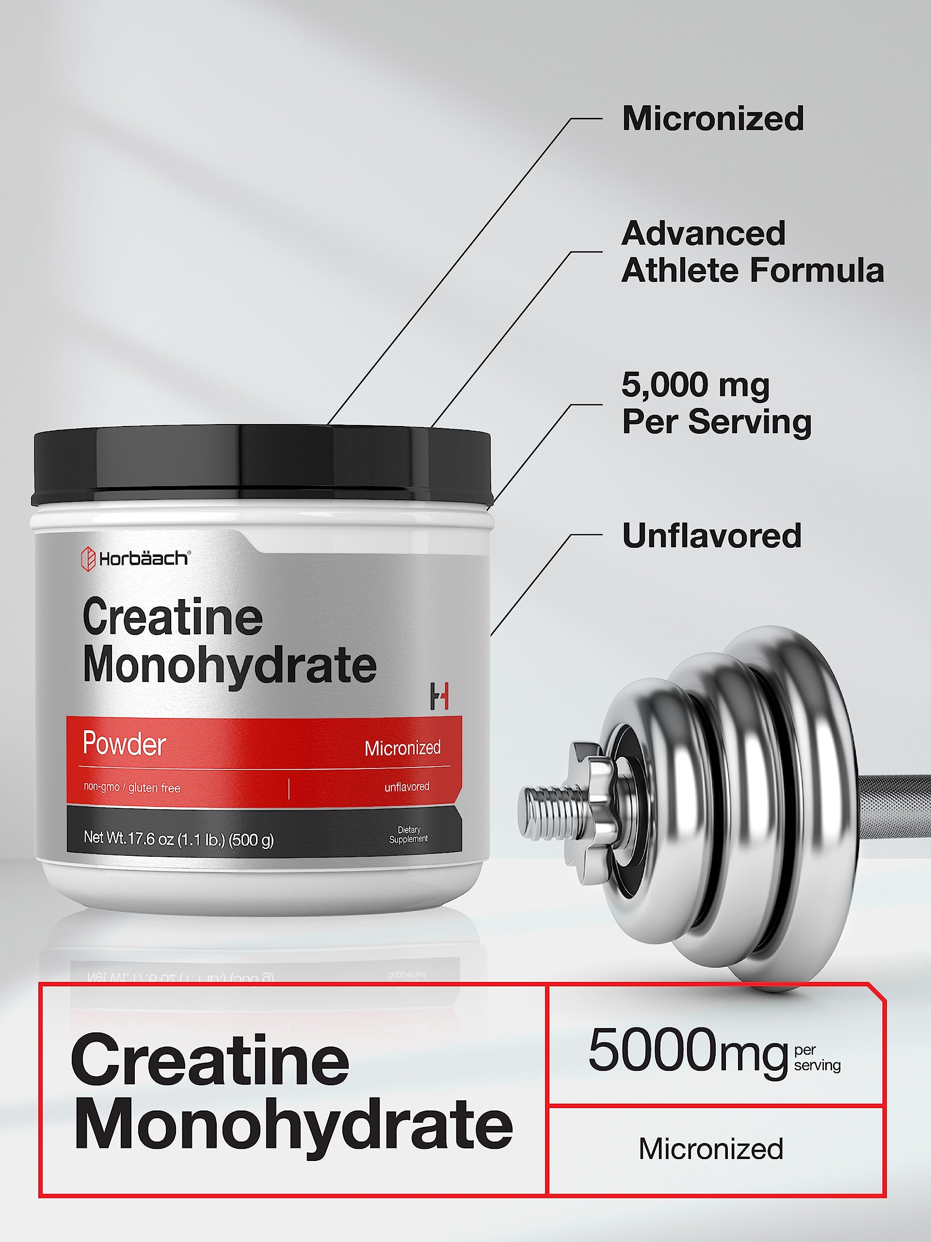 Horbäach Creatine Monohydrate Powder | 1.1lb (17.6 oz) | Micronized and Unflavored | Vegetarian, Non-GMO, and Gluten Free Supplement