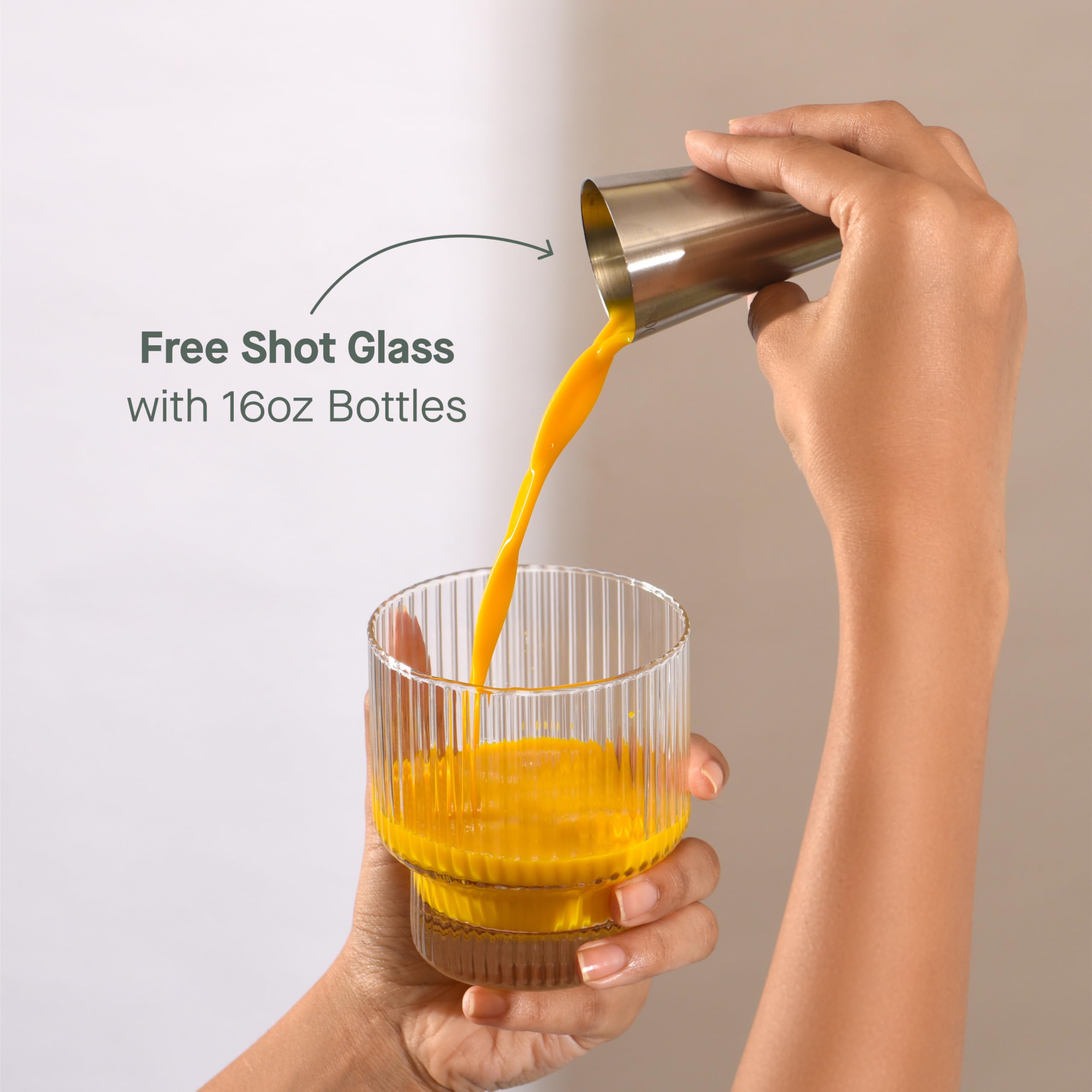 DOSE for Cholesterol Supplements Maintain Healthy Cholesterol Levels and Supports Cardiovascular Health Gluten-Free Vegan Zero Sugar, 16oz Bottle, 6 Pack (6 Week Supply)