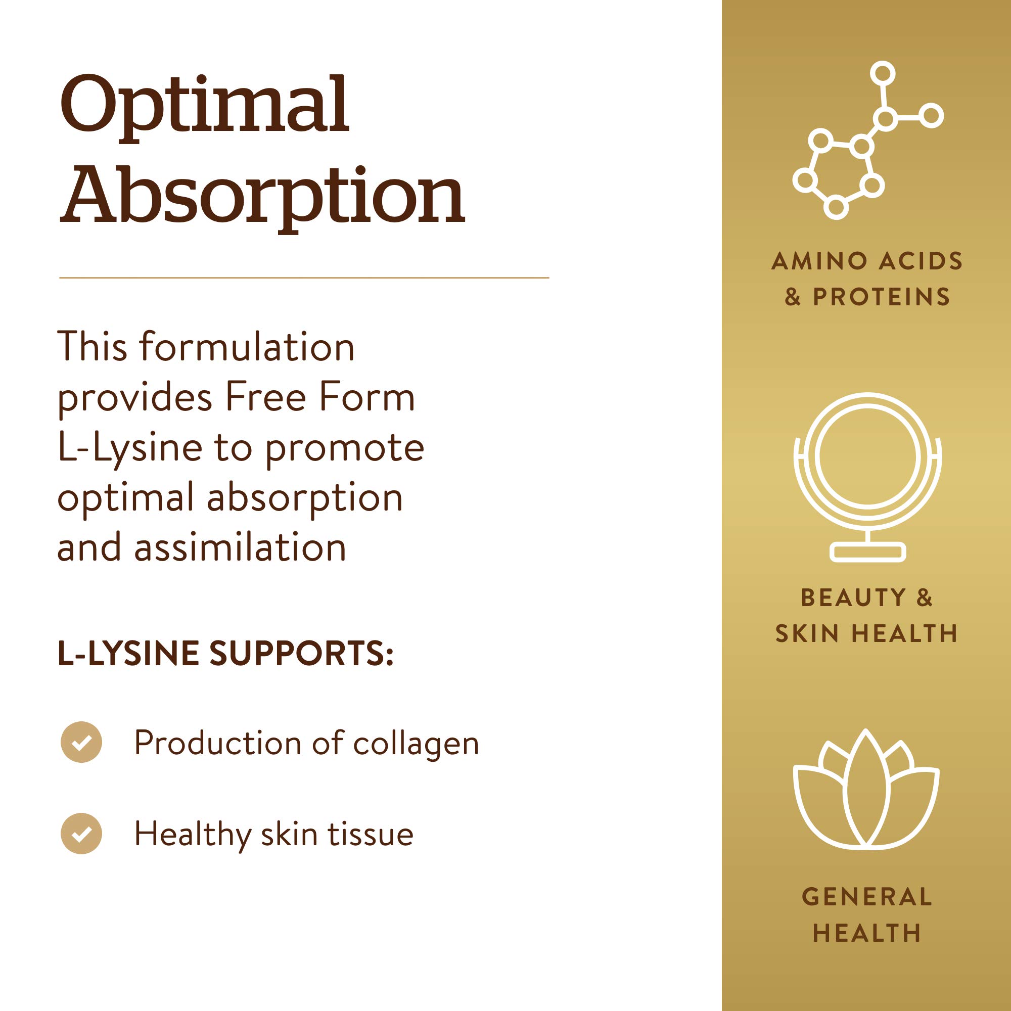 Solgar L-Lysine 1000 mg, 250 Tablets - Enhanced Absorption and Assimilation - Promotes Integrity of Skin and Lips - Collagen Support - Amino Acids - Non-GMO, Vegan, Gluten Free-250 Servings(Pack of 2)