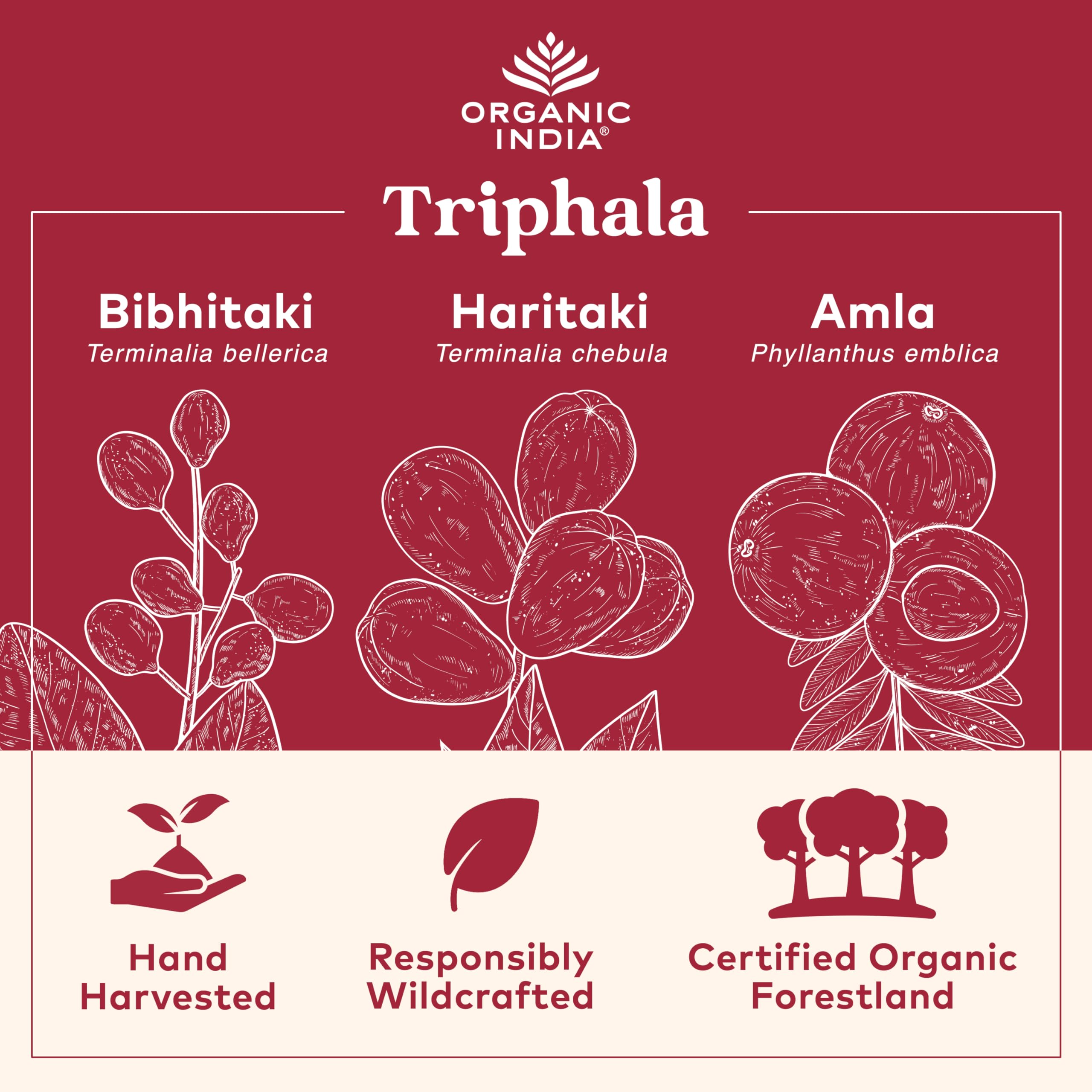 ORGANIC INDIA Triphala Capsules Organic - Herbal Supplement with Amla, Bibhitaki, Haritaki, Digestion & Colon Support, Immune System Support, Adaptogen, Vegan, USDA Certified Organic - 180 Capsules