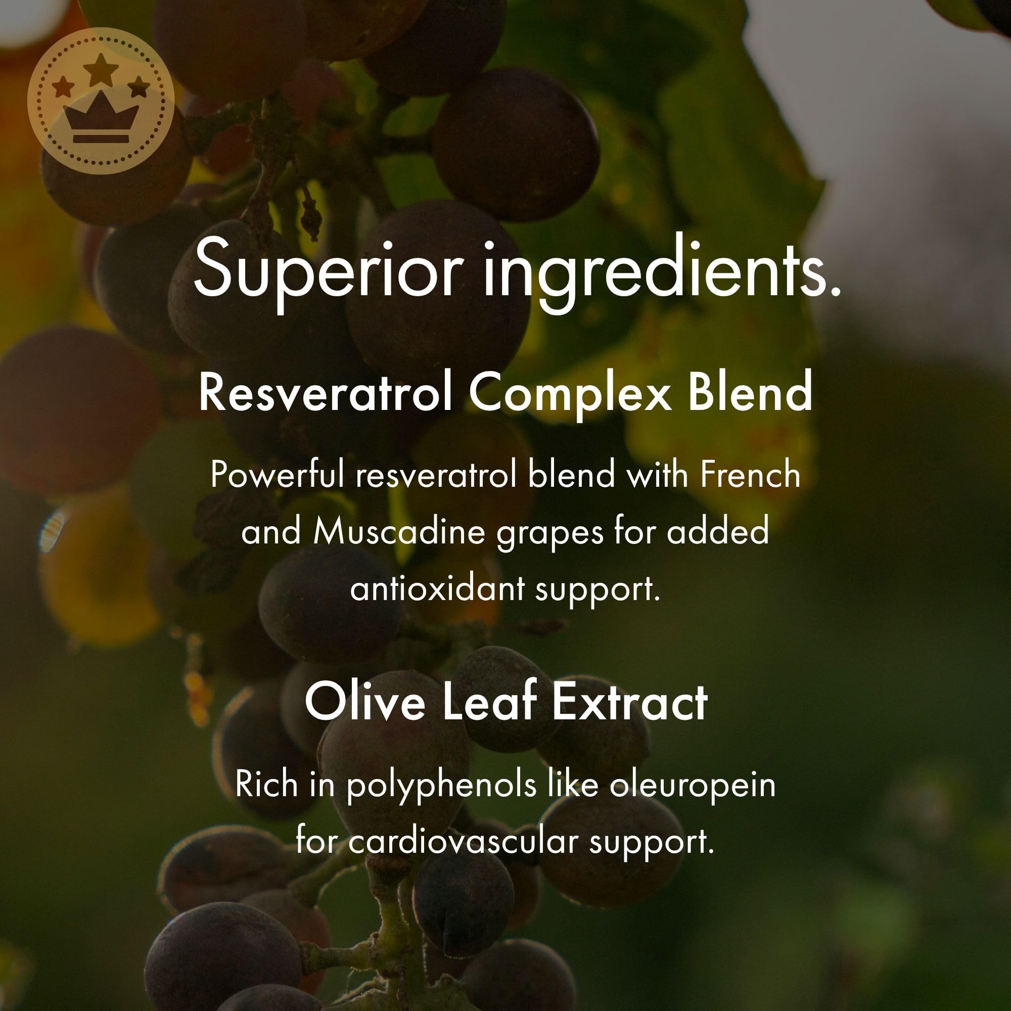 NAOMI Italian Citrus Bergamot 500mg + Resveratrol, Award-Winning Cardiologist Dvlpd, Supports Normal Cholesterol & Healthy Cellular Function, 7 Key Polyphenols, Resveratrol & Olive Leaf, 30-Day Supply