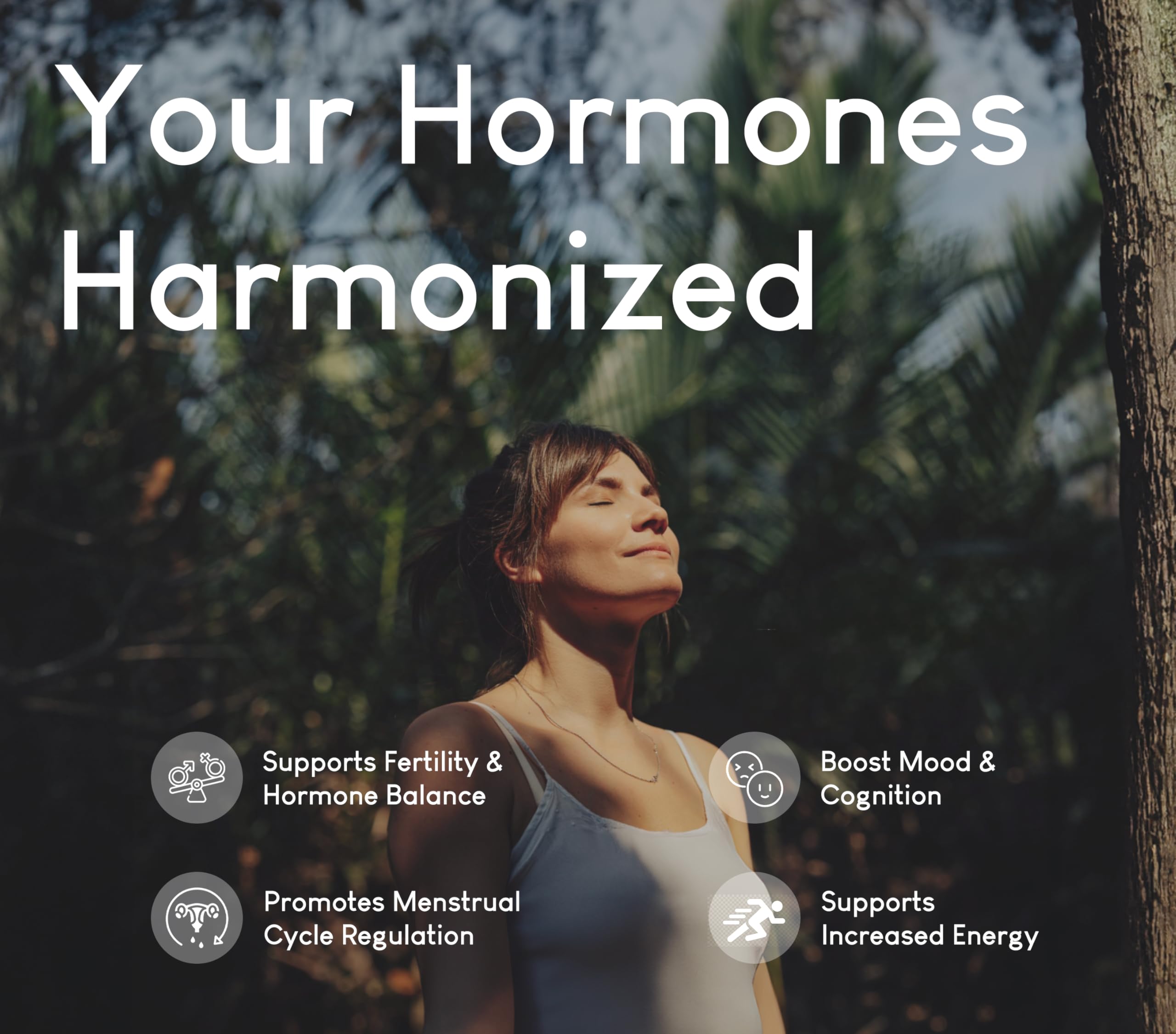 Beef Organ Supplement for Women | Supports Hormone Balance | Ovary, Uterus & Reproductive Nourishment + Liver, Kidney & Heart for Cycle Harmony, Mood Ease & Feminine Energy | 90 Day Supply