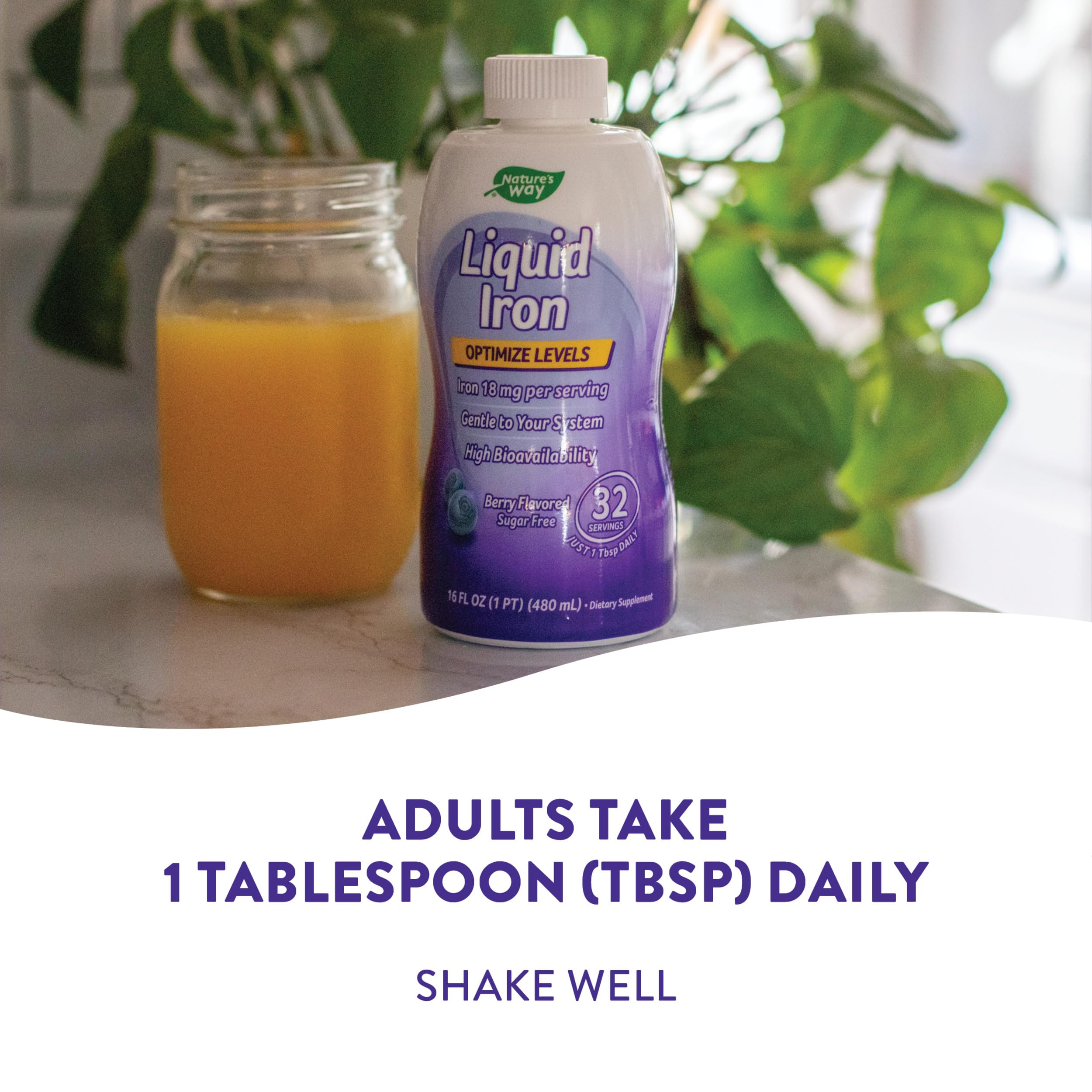 Nature's Way Liquid Iron, Provides Daily Value of Iron, Sugar Free, Berry Flavored, 16 Fl. Oz. (Pack of 2)