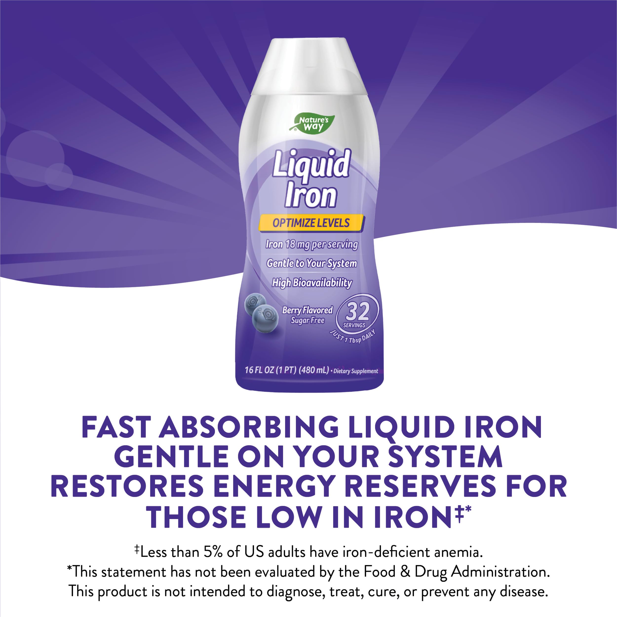Nature's Way Liquid Iron, Provides Daily Value of Iron, Sugar Free, Berry Flavored, 16 Fl. Oz. (Pack of 2)