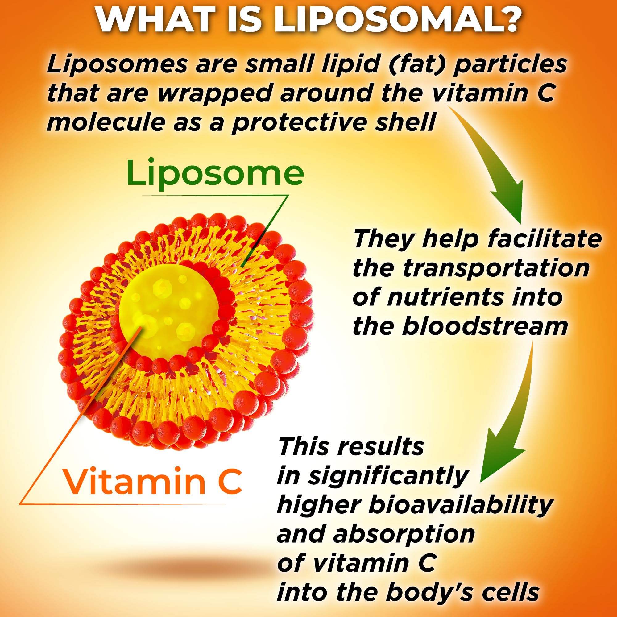 Liposomal Vitamin C Capsules - 1500mg - Made with Organic Acerola Cherries & Camu Camu, High Potency Vitamin C Liposomal - Immune Support Supplement, Enhanced Absorption & Bioavailability - 180 Count