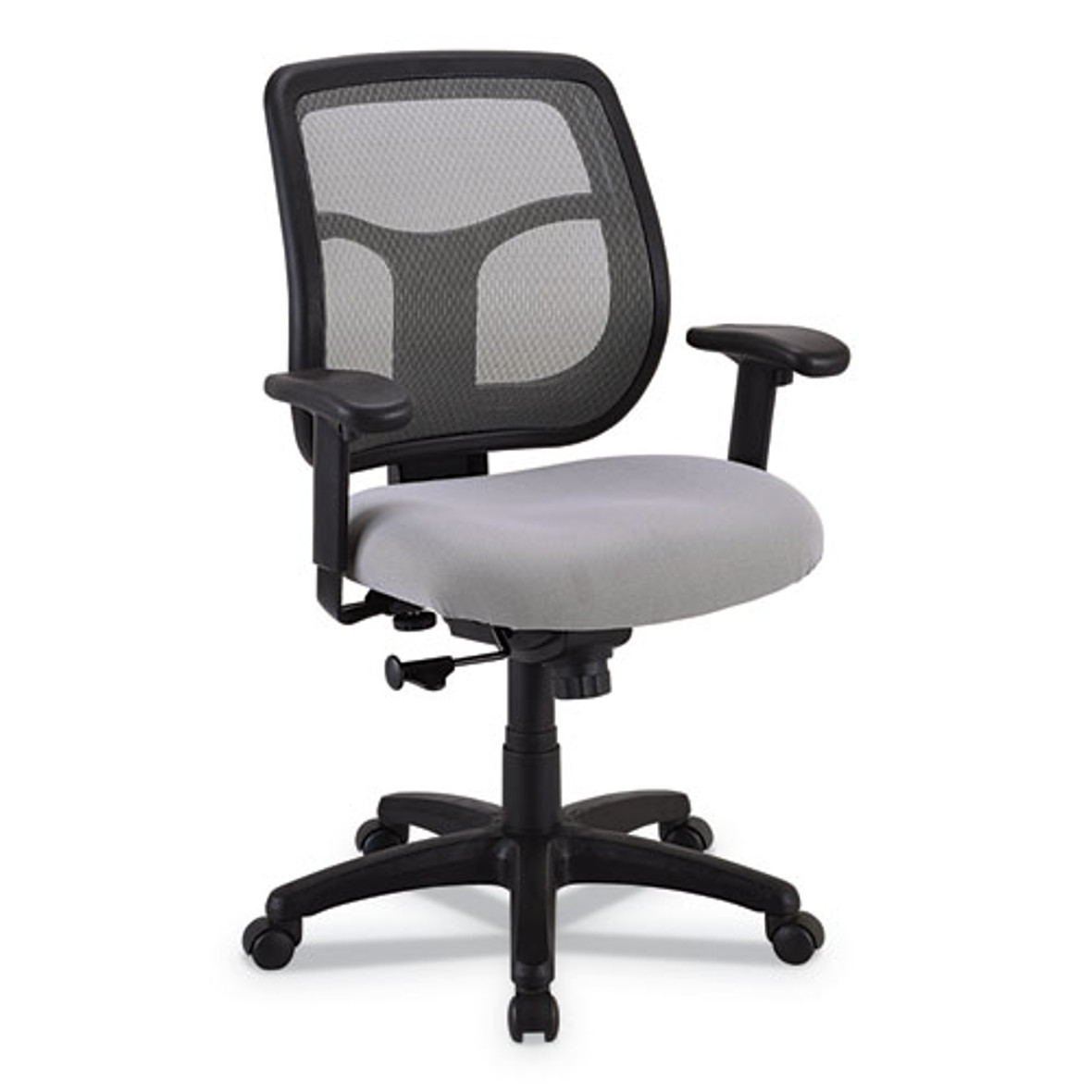 Eurotech Apollo Mid-Back Mesh Chair, 18.1" to 21.7" Seat Height, Silver Seat, Silver Back, Black Base, 1 Each/Carton